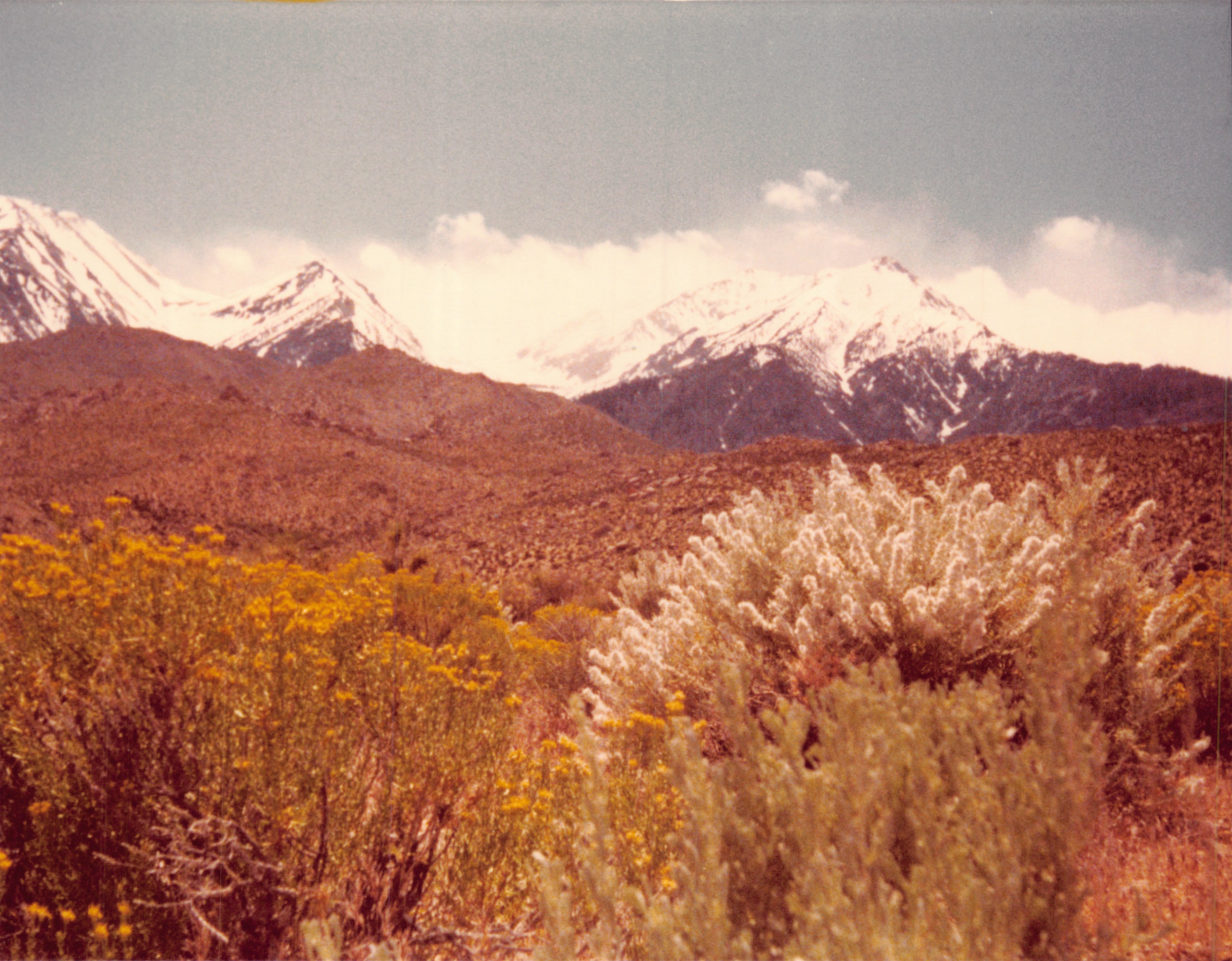 1980d_0043.jpg