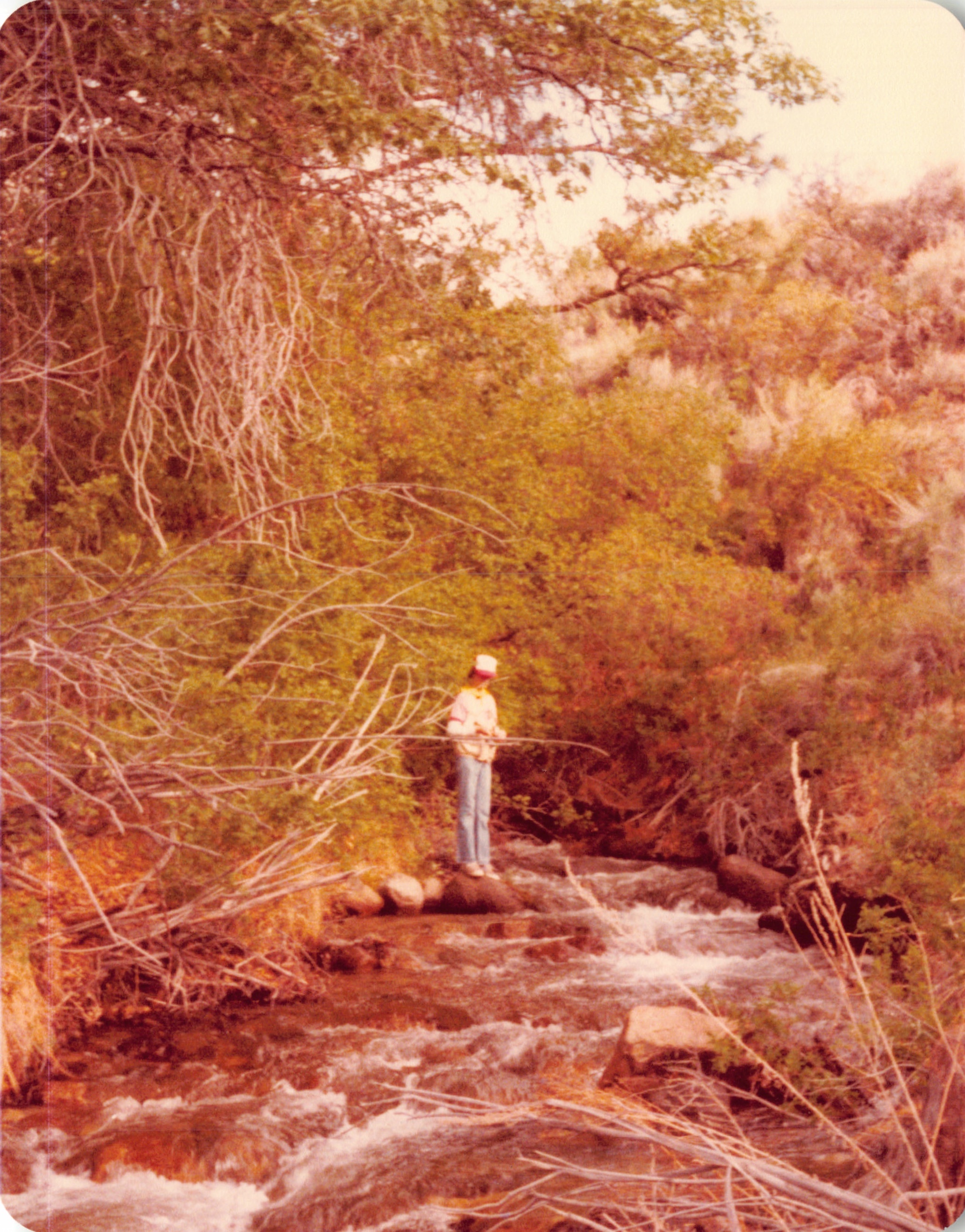1981_0365.jpg