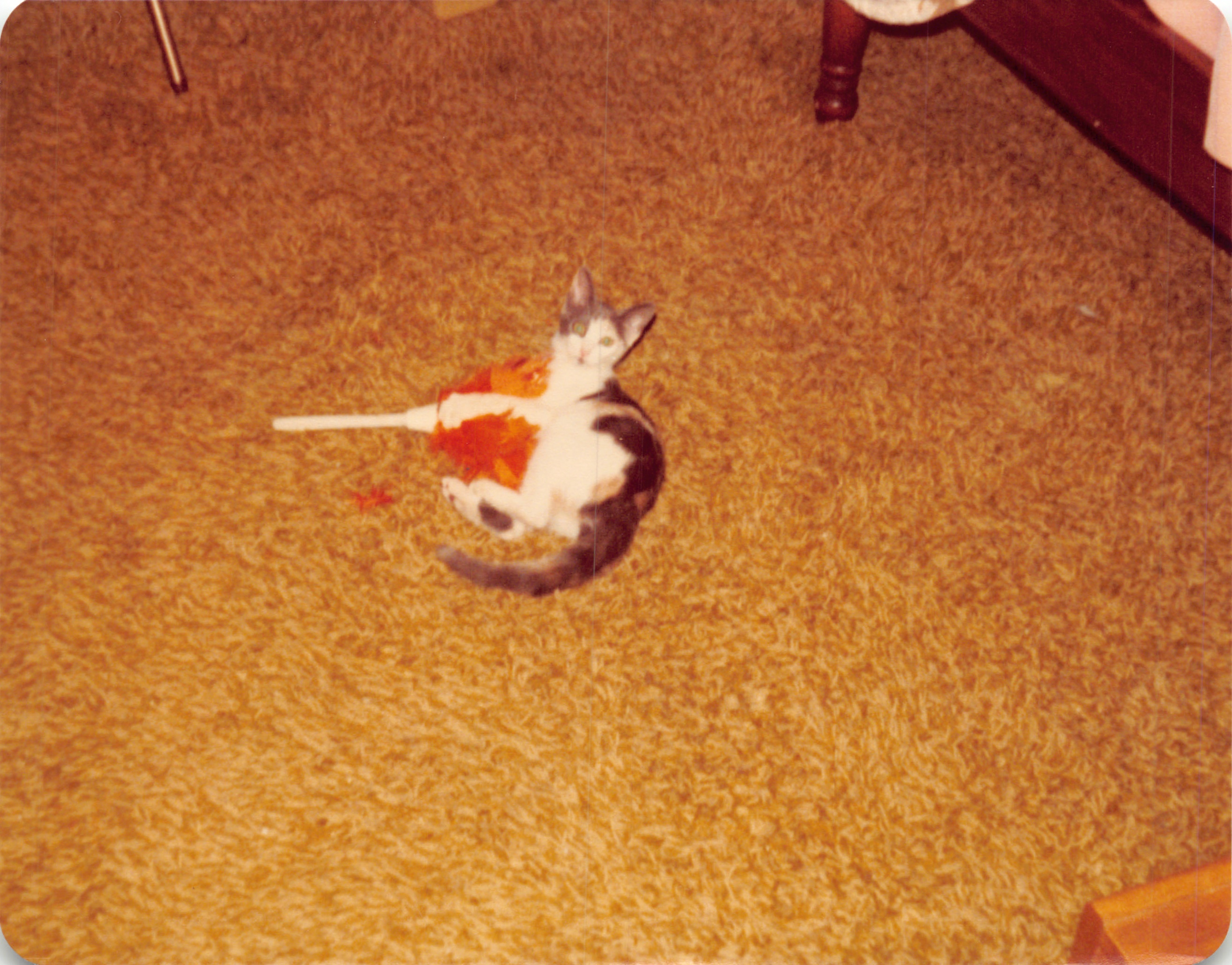 1981_0419.jpg