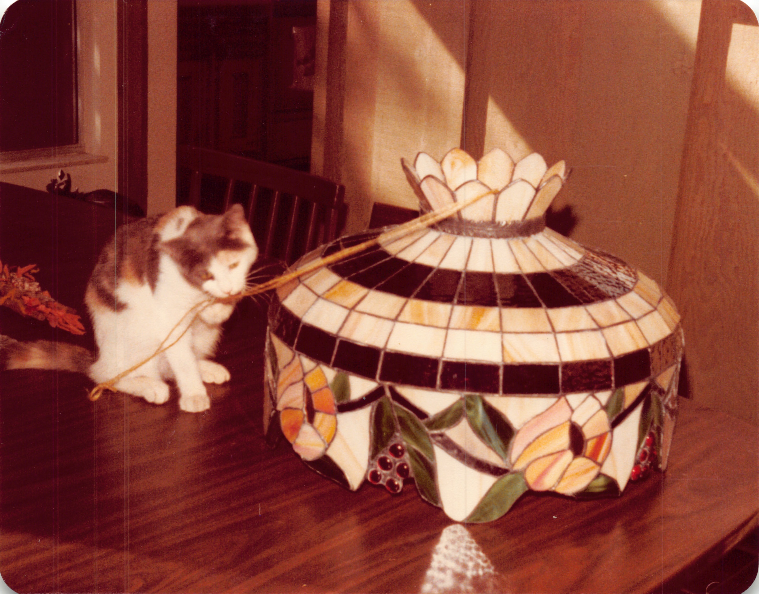 1981_0450.jpg