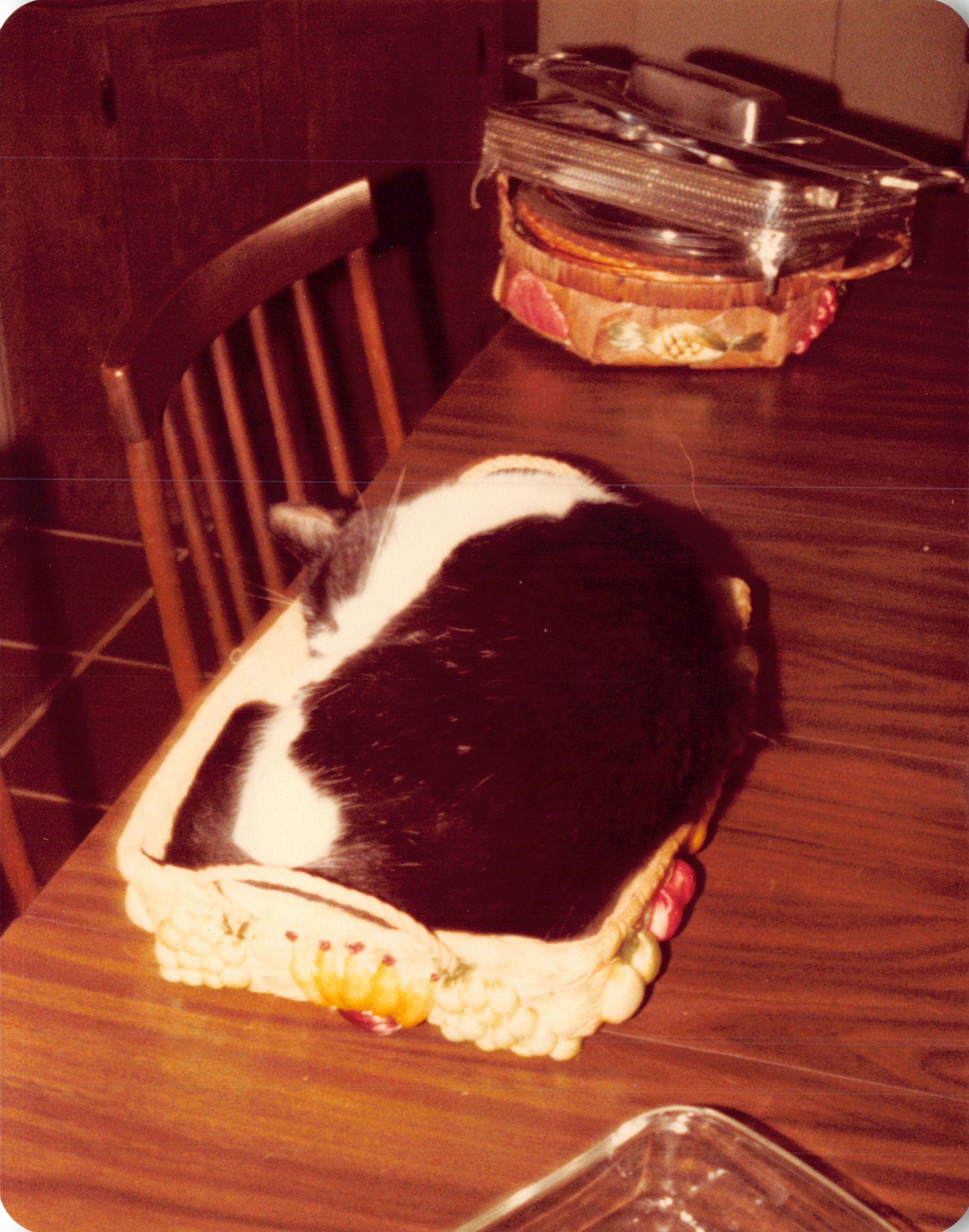 1981_0464.jpg