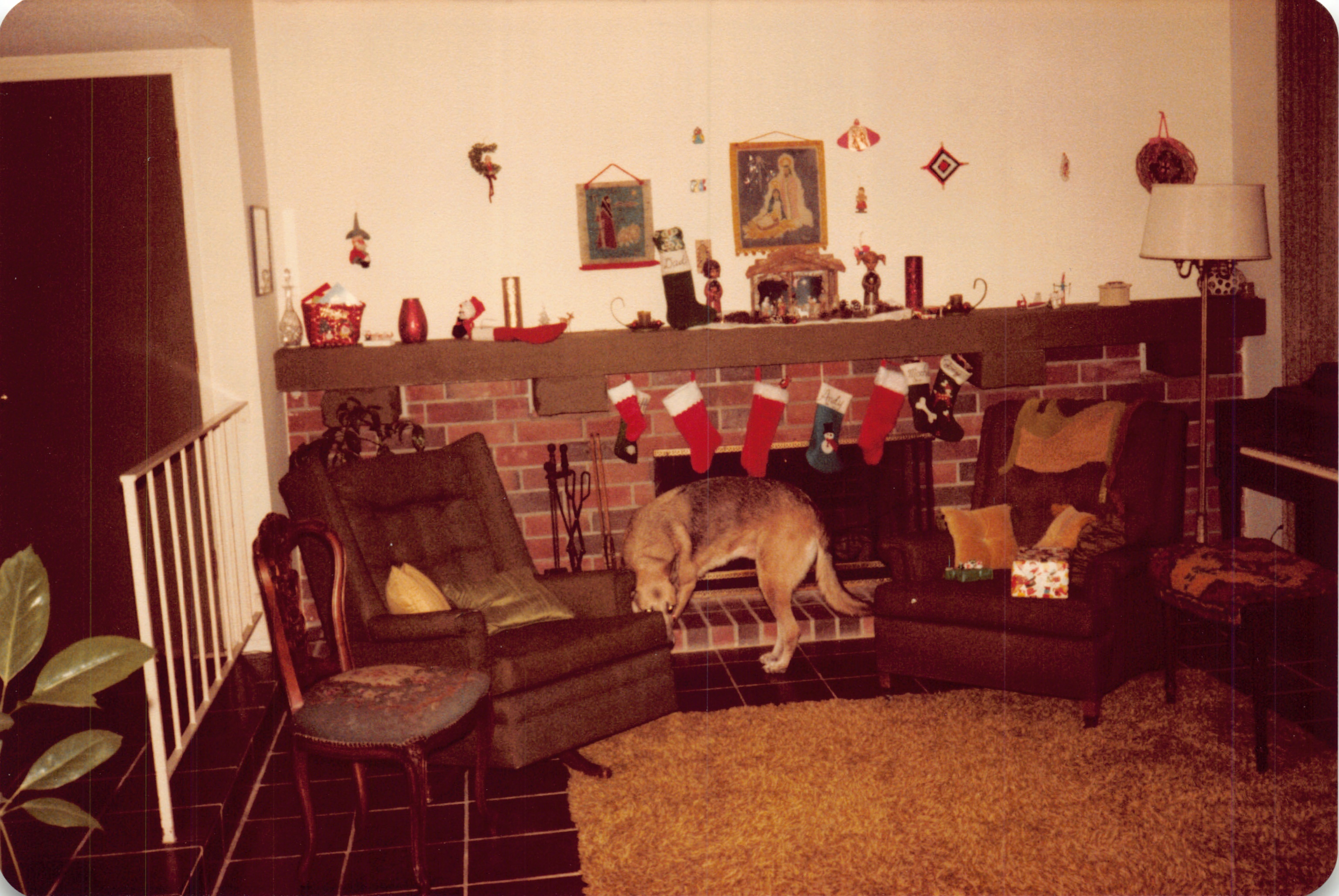 1981_0483.jpg
