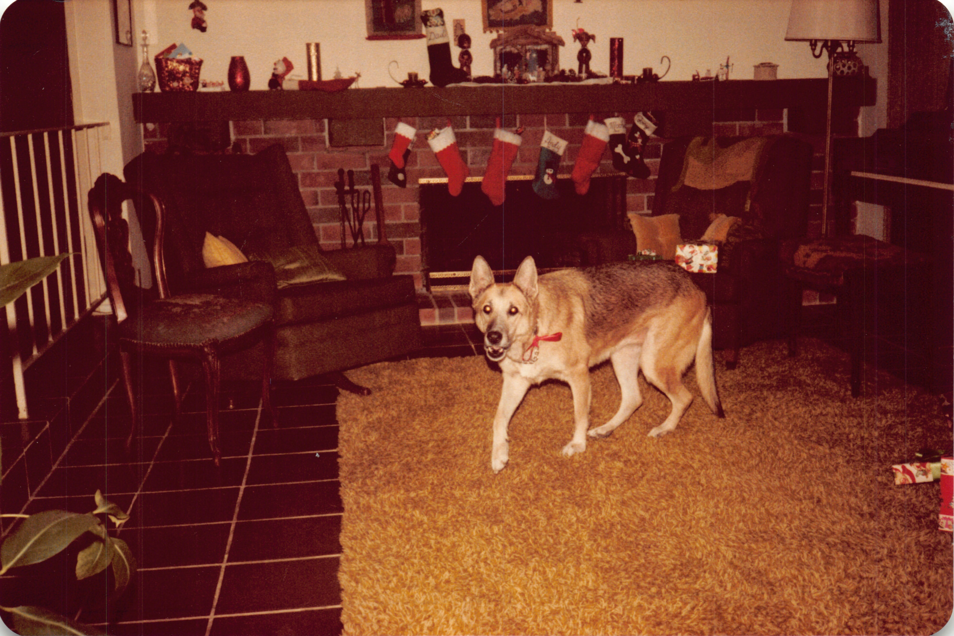 1981_0496.jpg