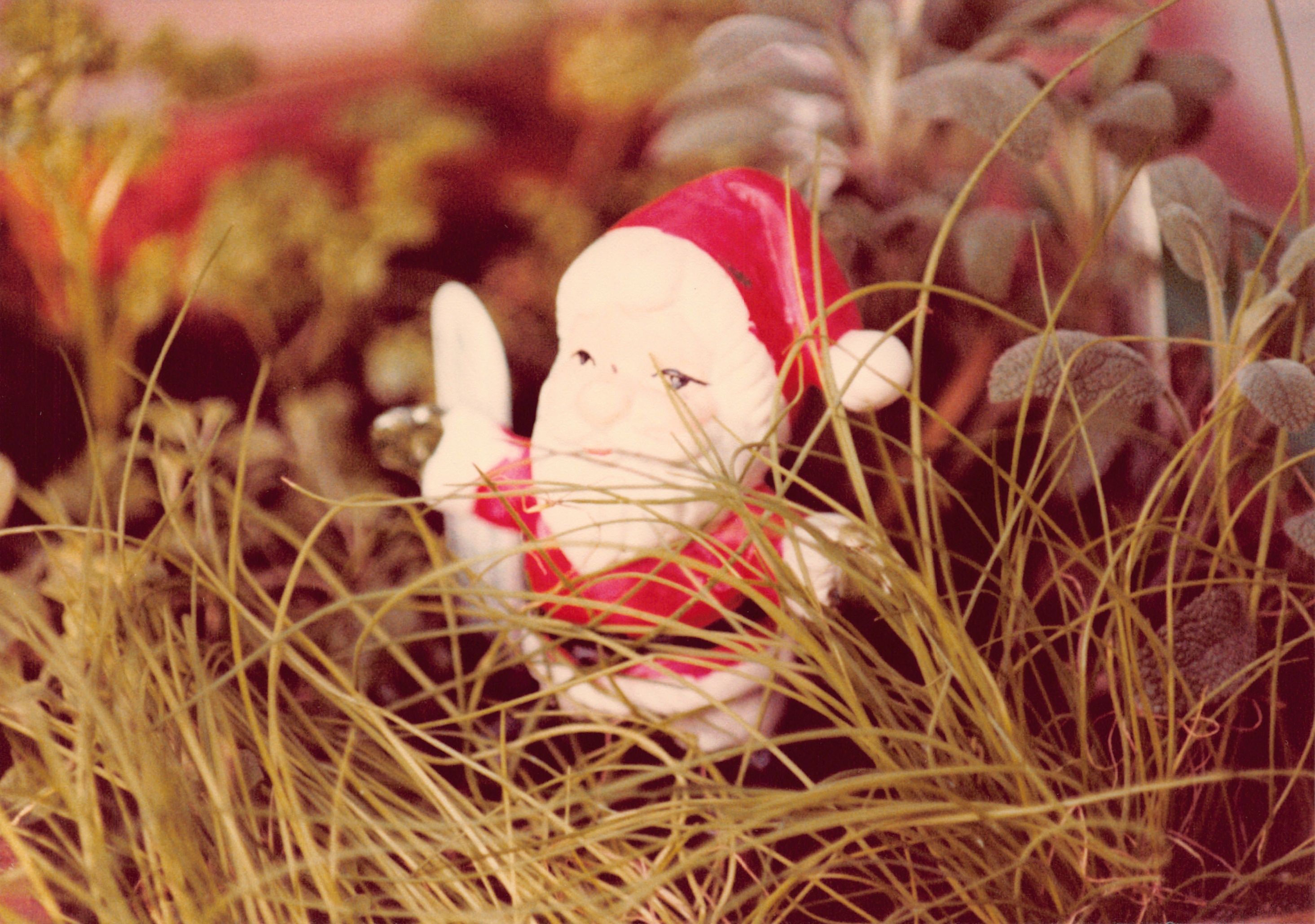 1981_0502e.jpg