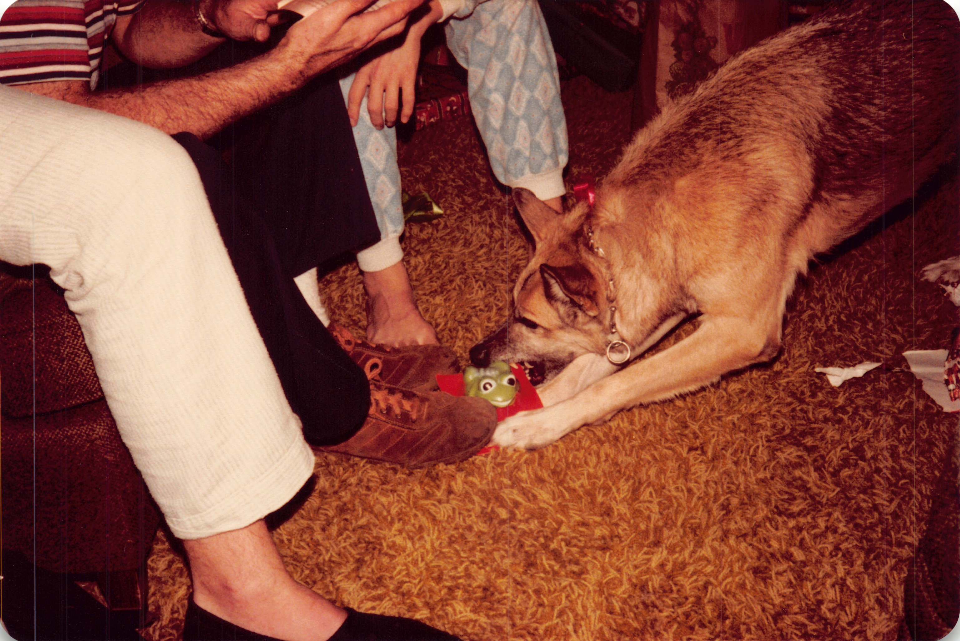 1981_0504.jpg