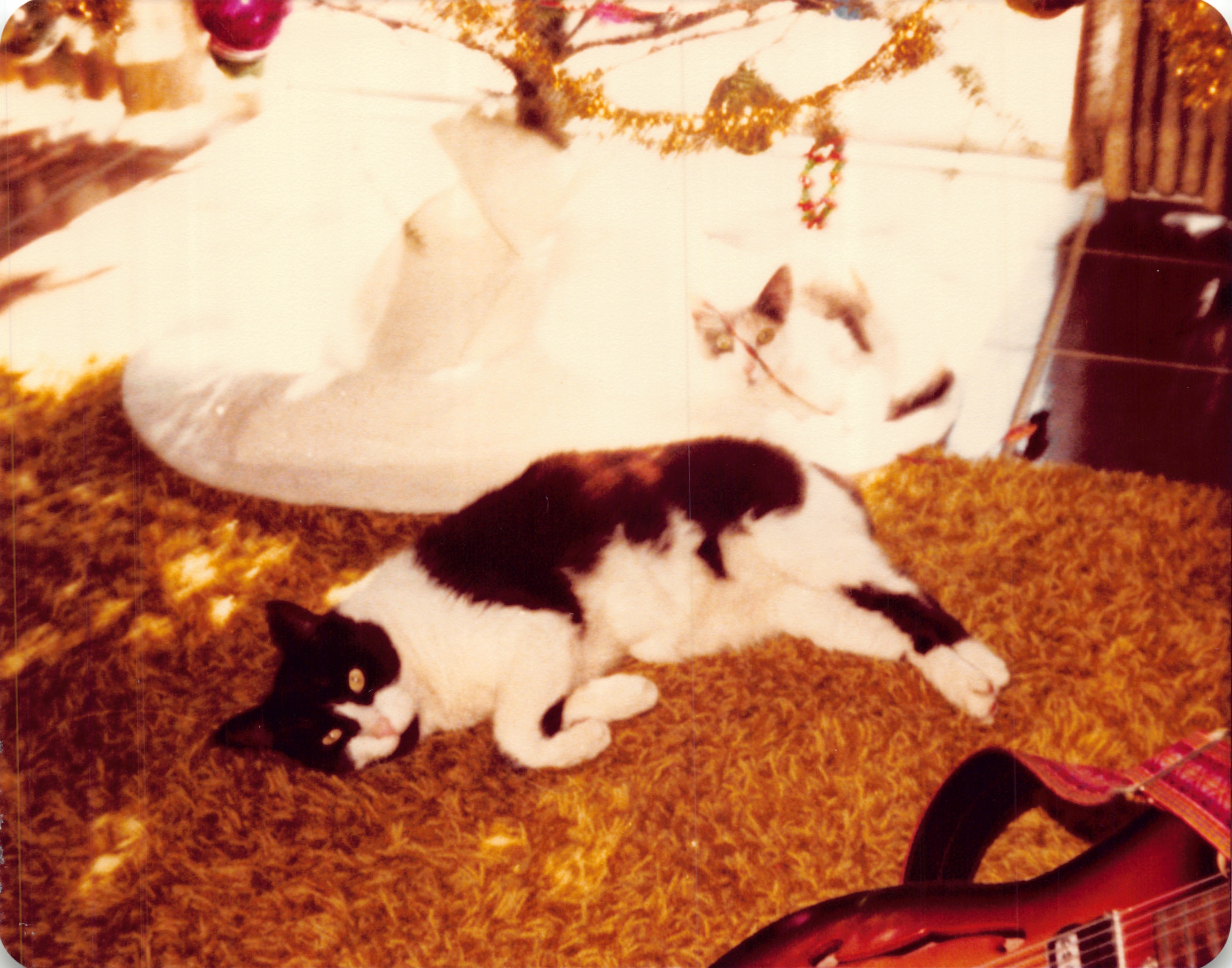 1981_0511.jpg