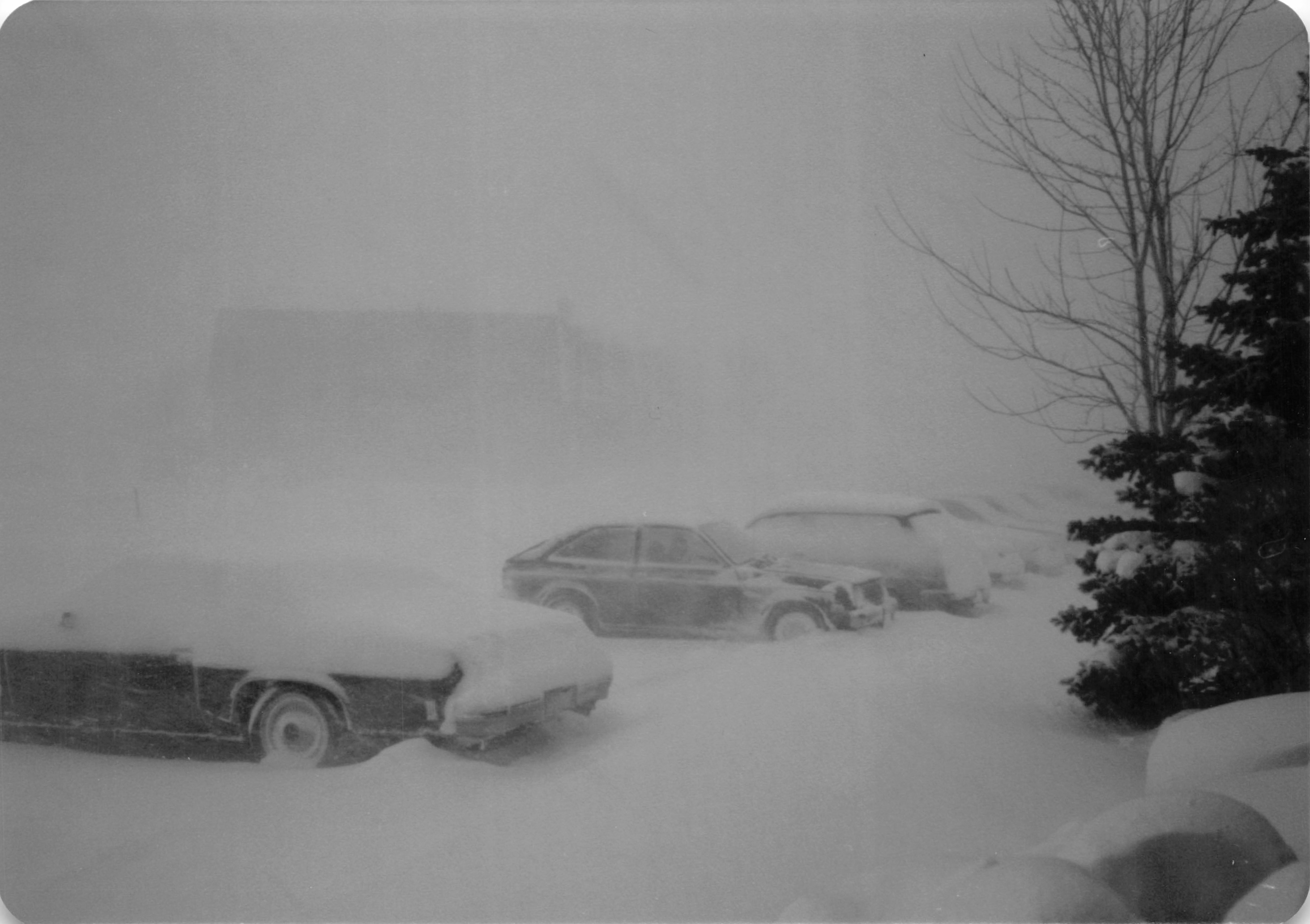 1981_0513a.jpg
