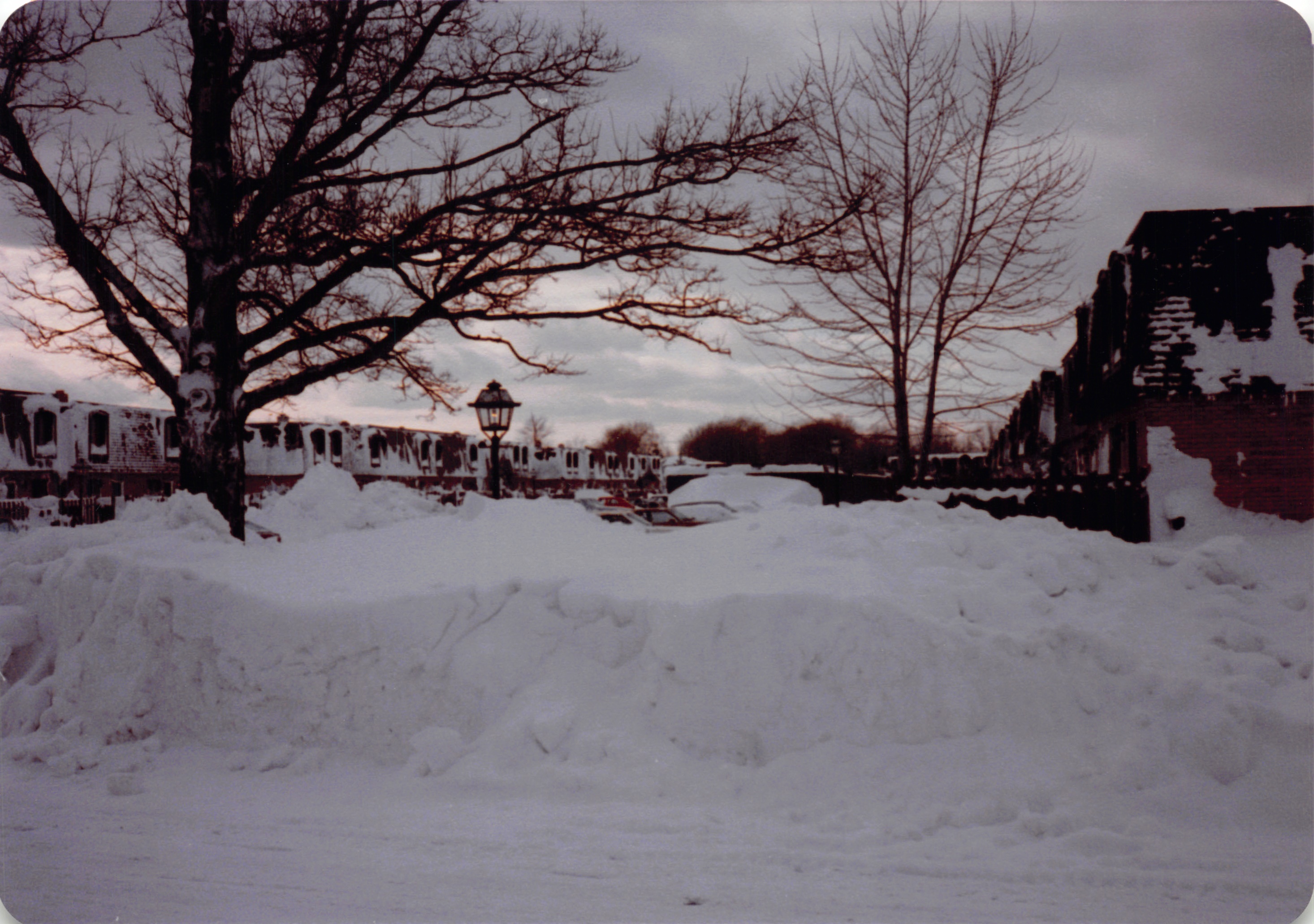 1981_0513b.jpg