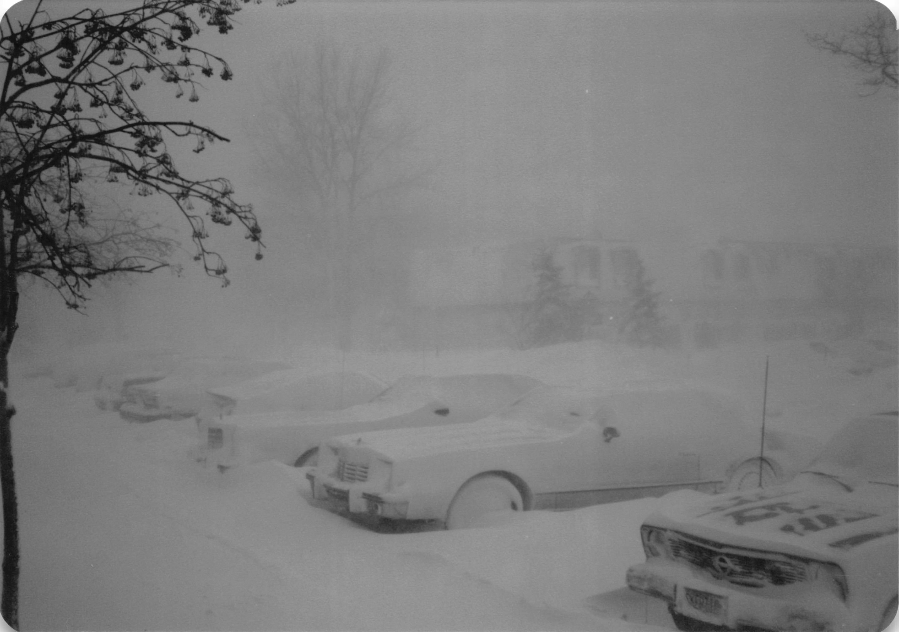 1981_0513d.jpg