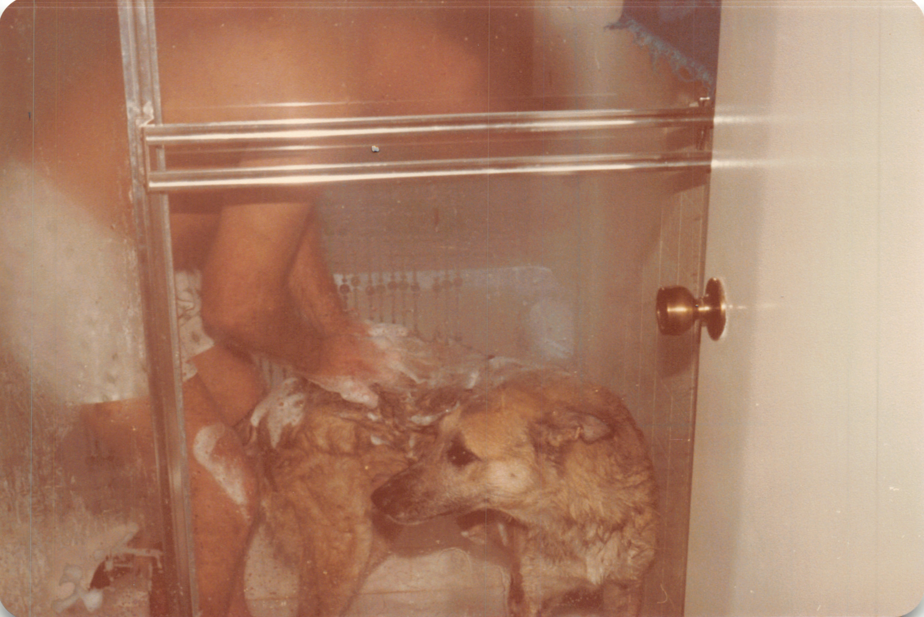 1982a_0522.jpg