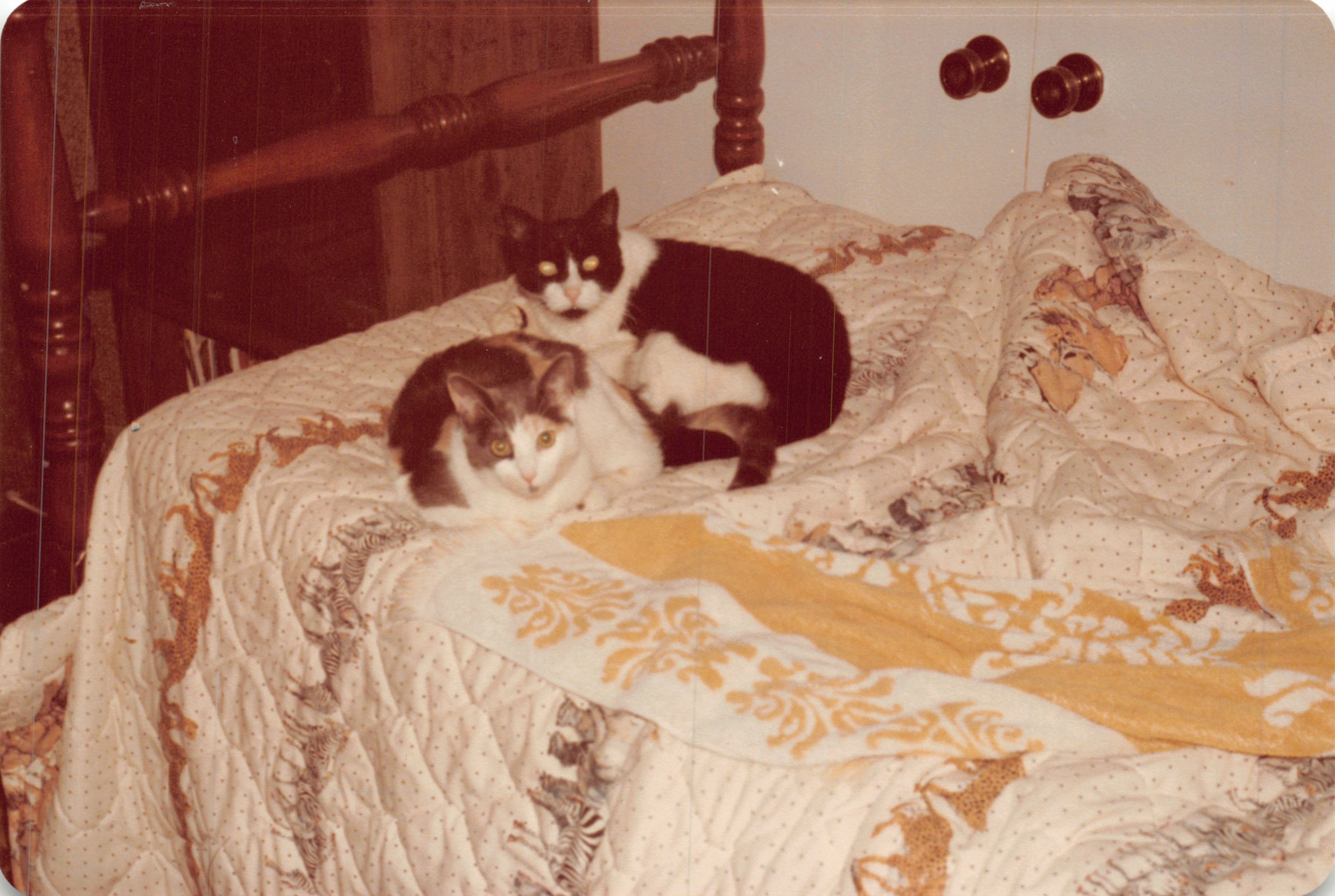 1982a_0526.jpg