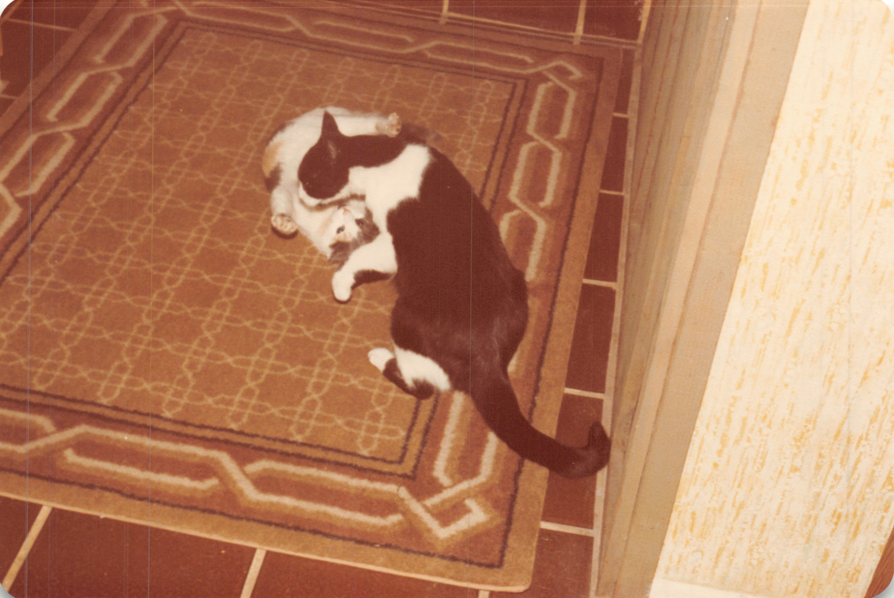 1982a_0530.jpg