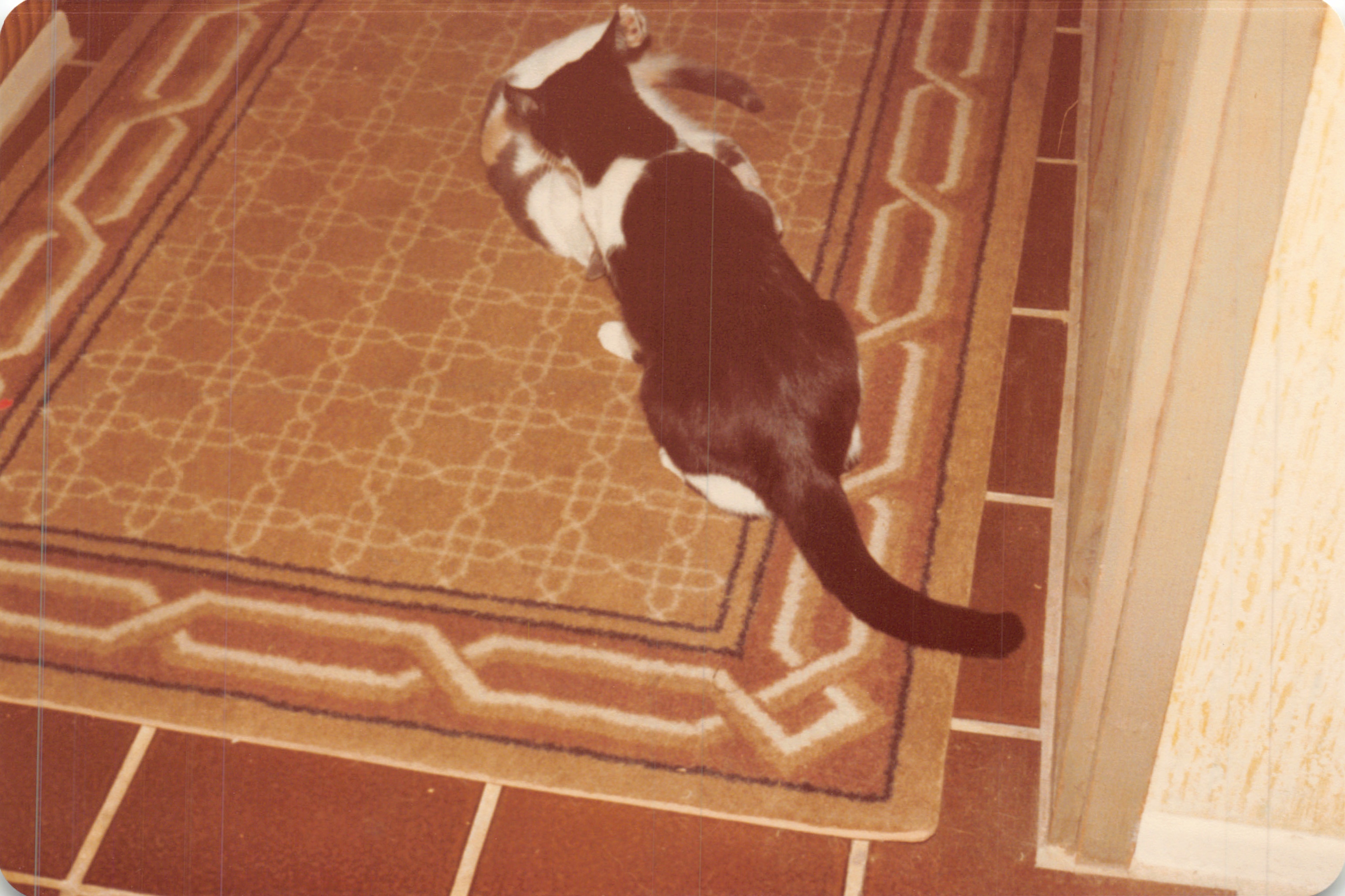 1982a_0532.jpg