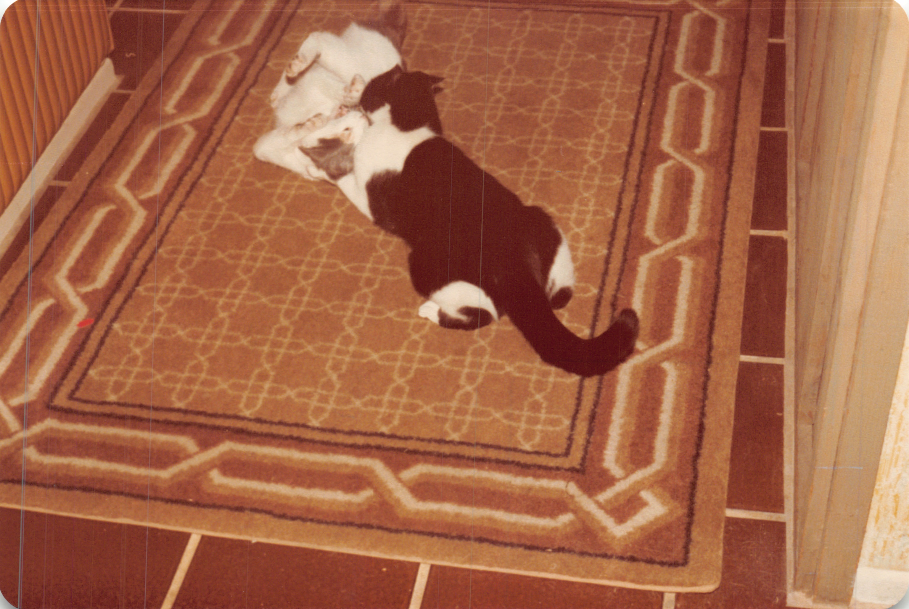 1982a_0533.jpg