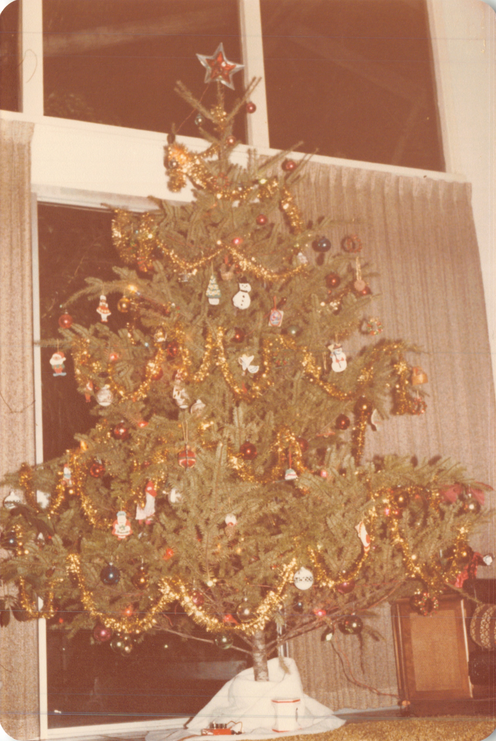 1982a_0535.jpg
