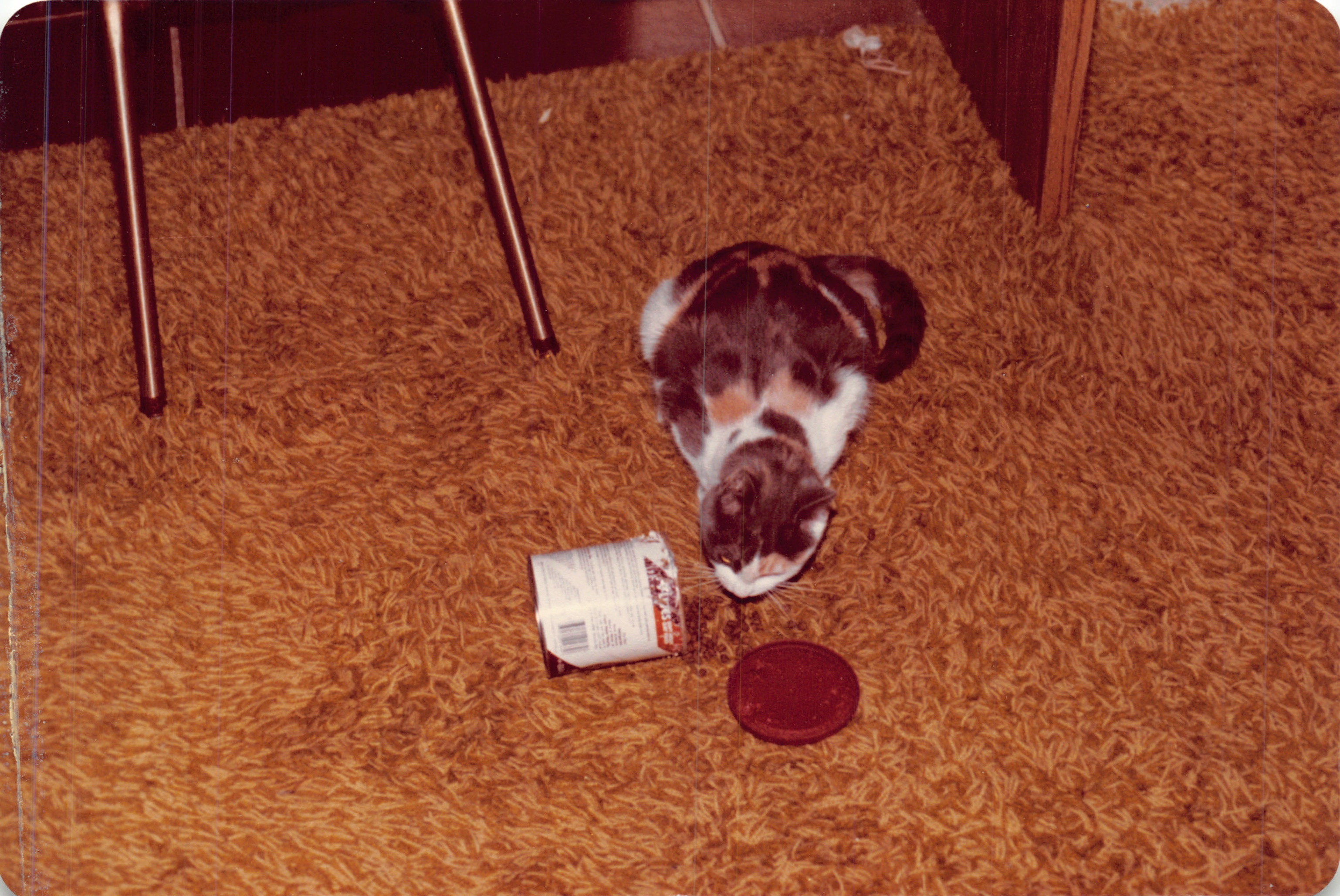 1982a_0547.jpg