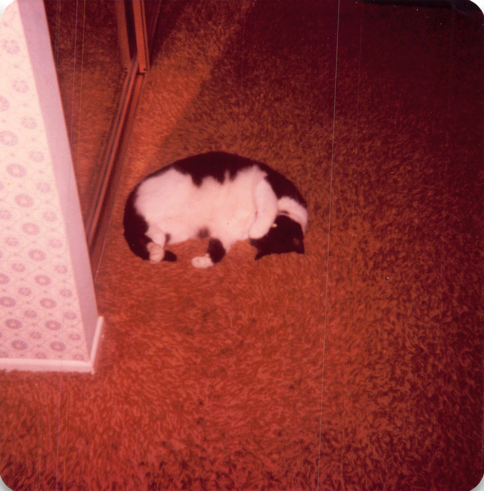 1982a_0548.jpg