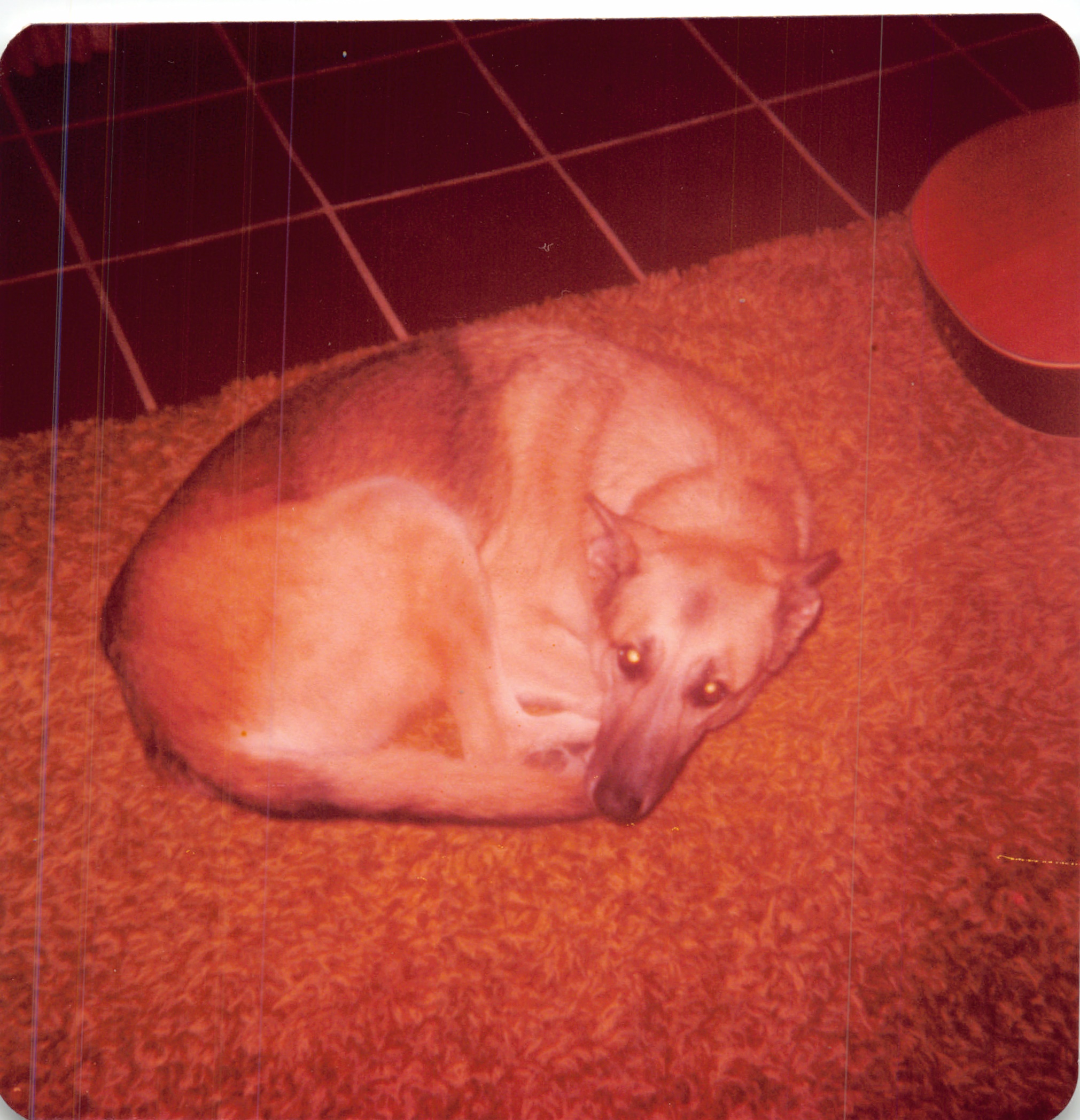 1982a_0549.jpg