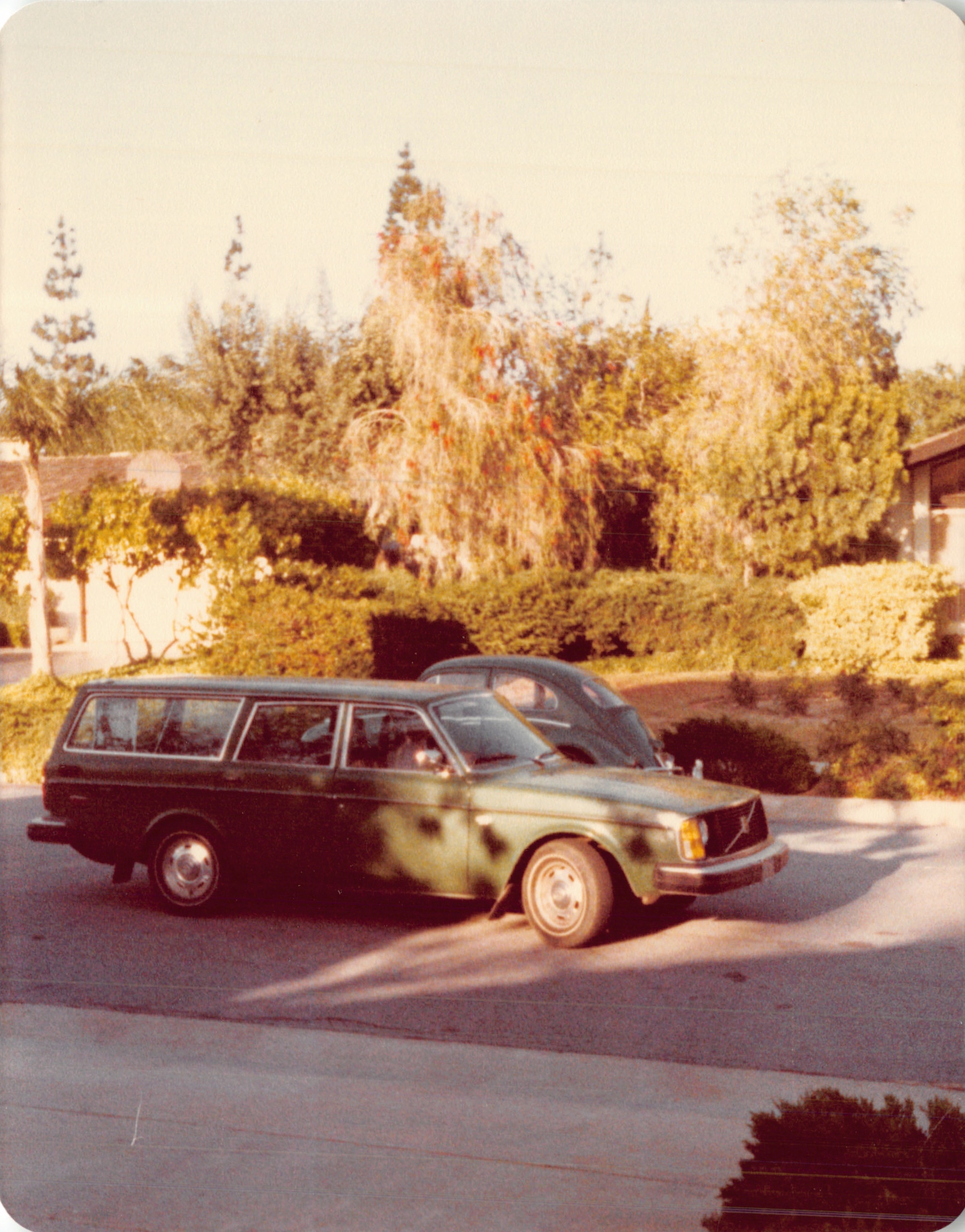 1982a_0581.jpg
