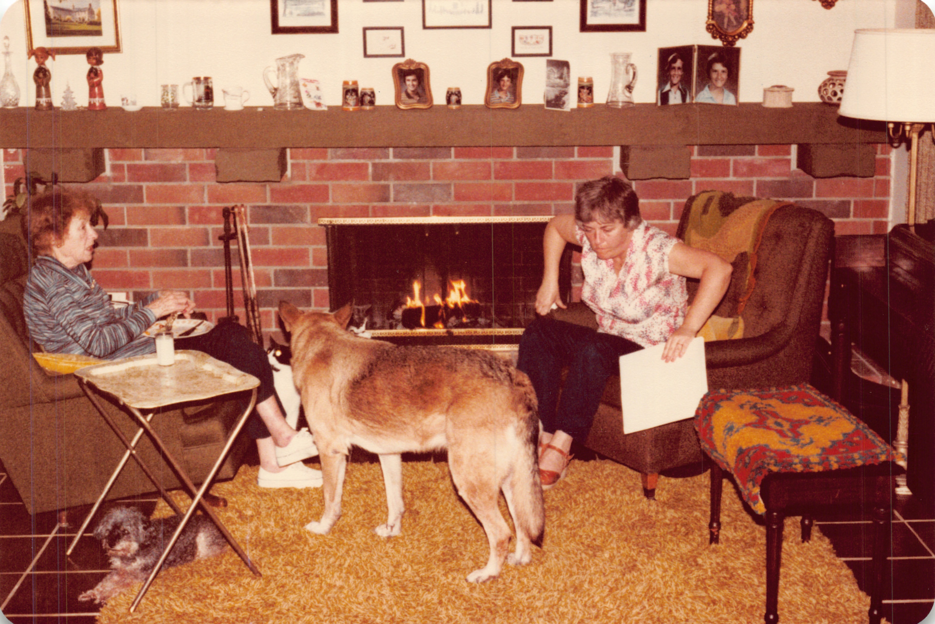 1982a_0605.jpg