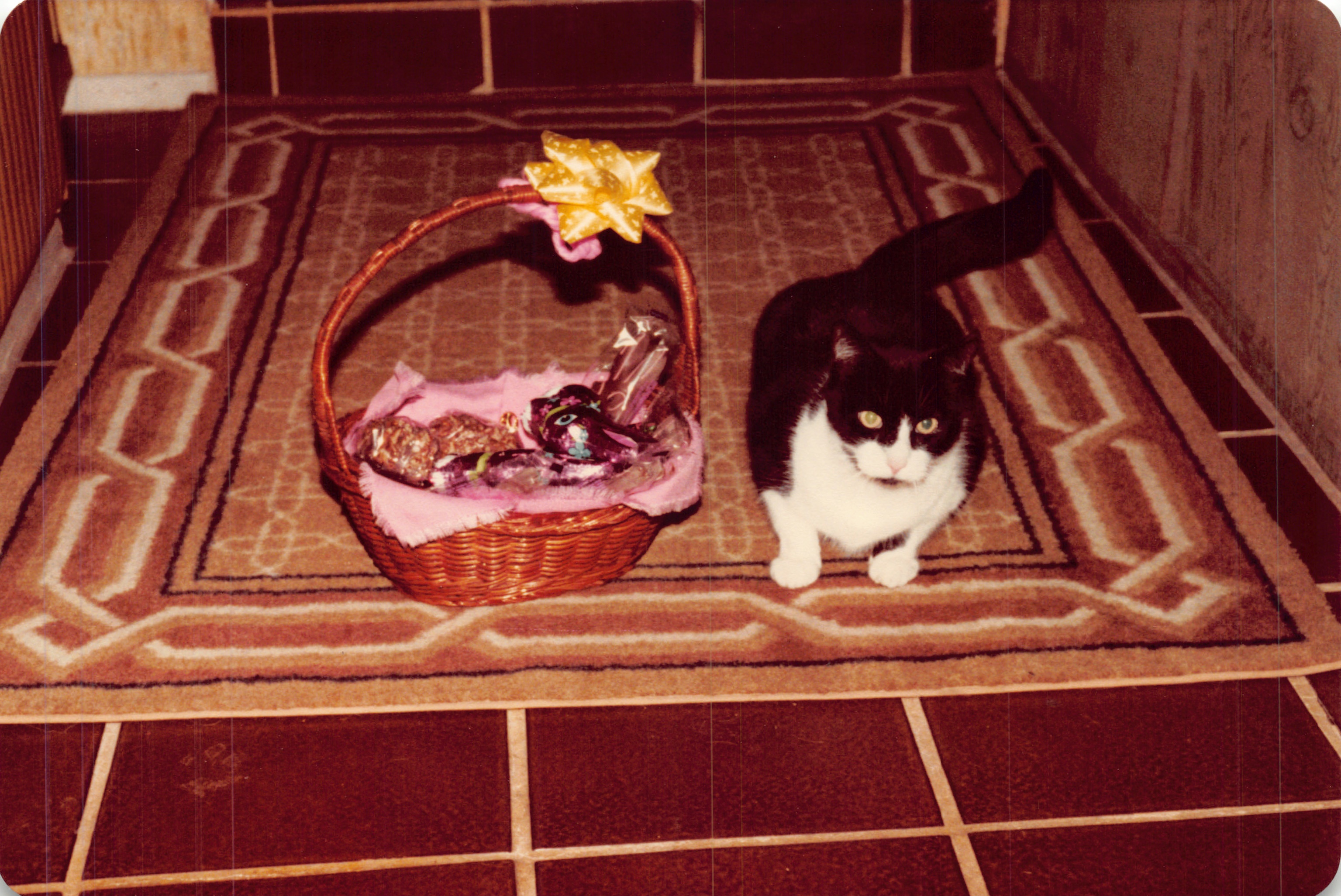 1982a_0607.jpg