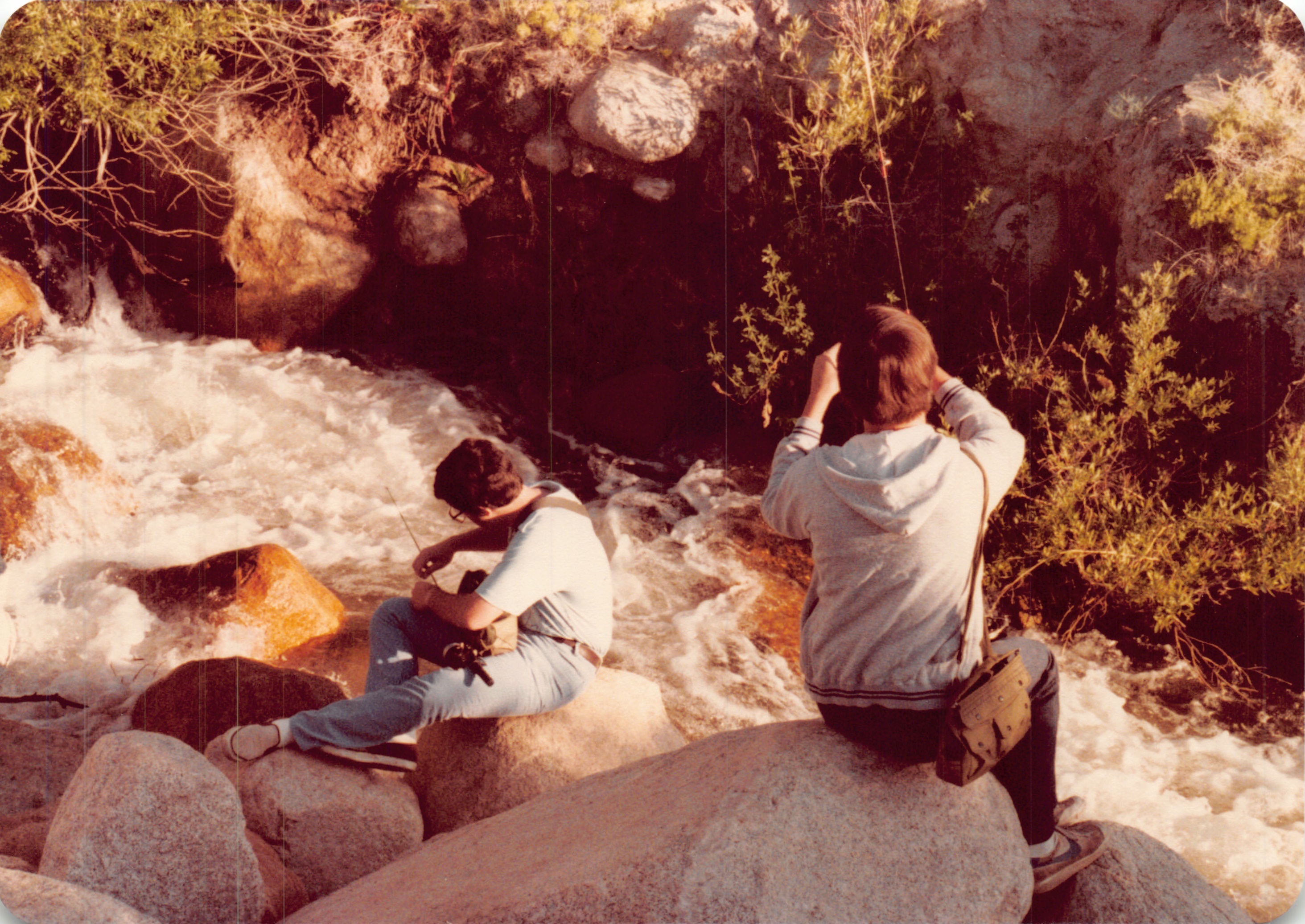 1982a_0656.jpg