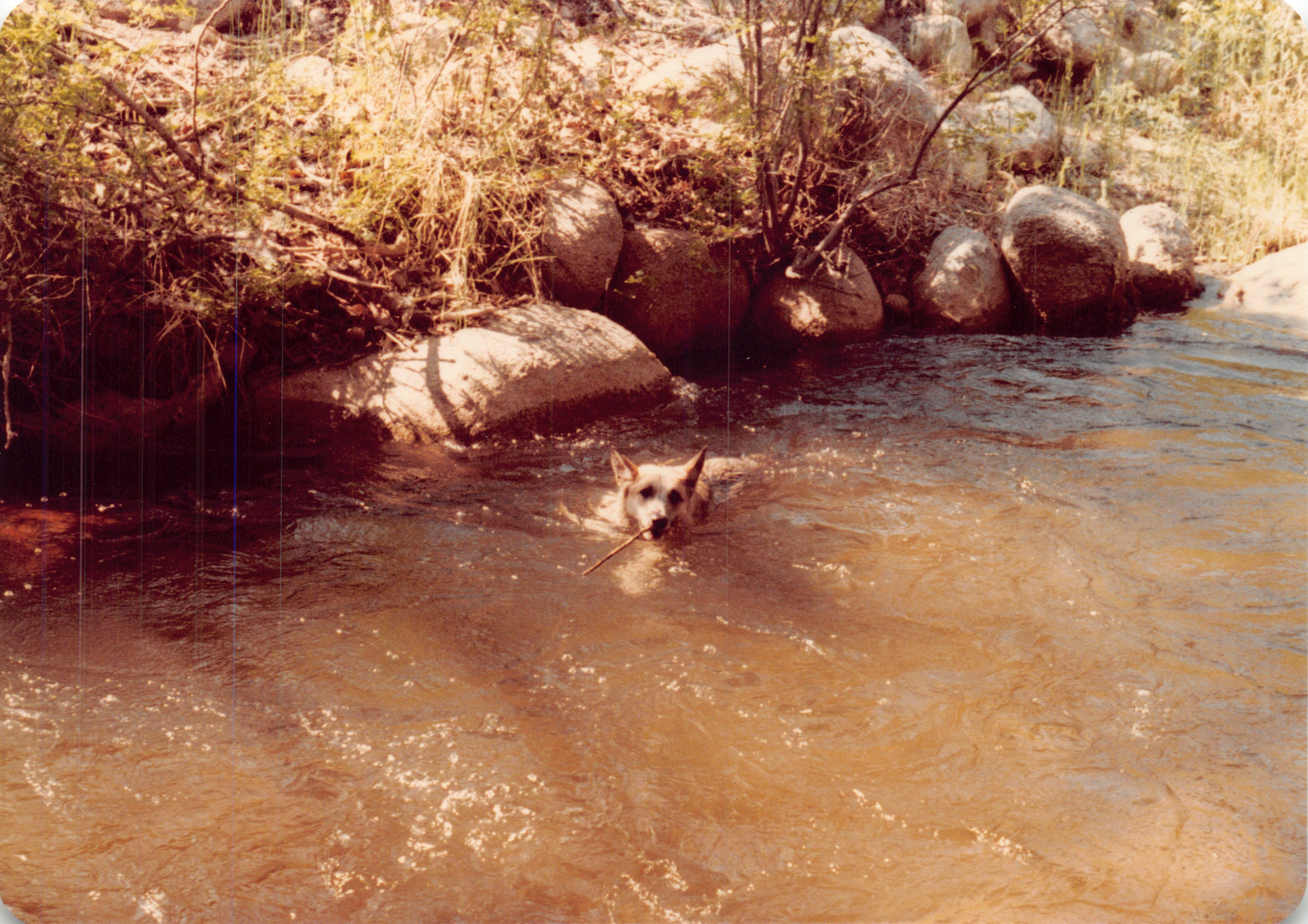 1982a_0657.jpg
