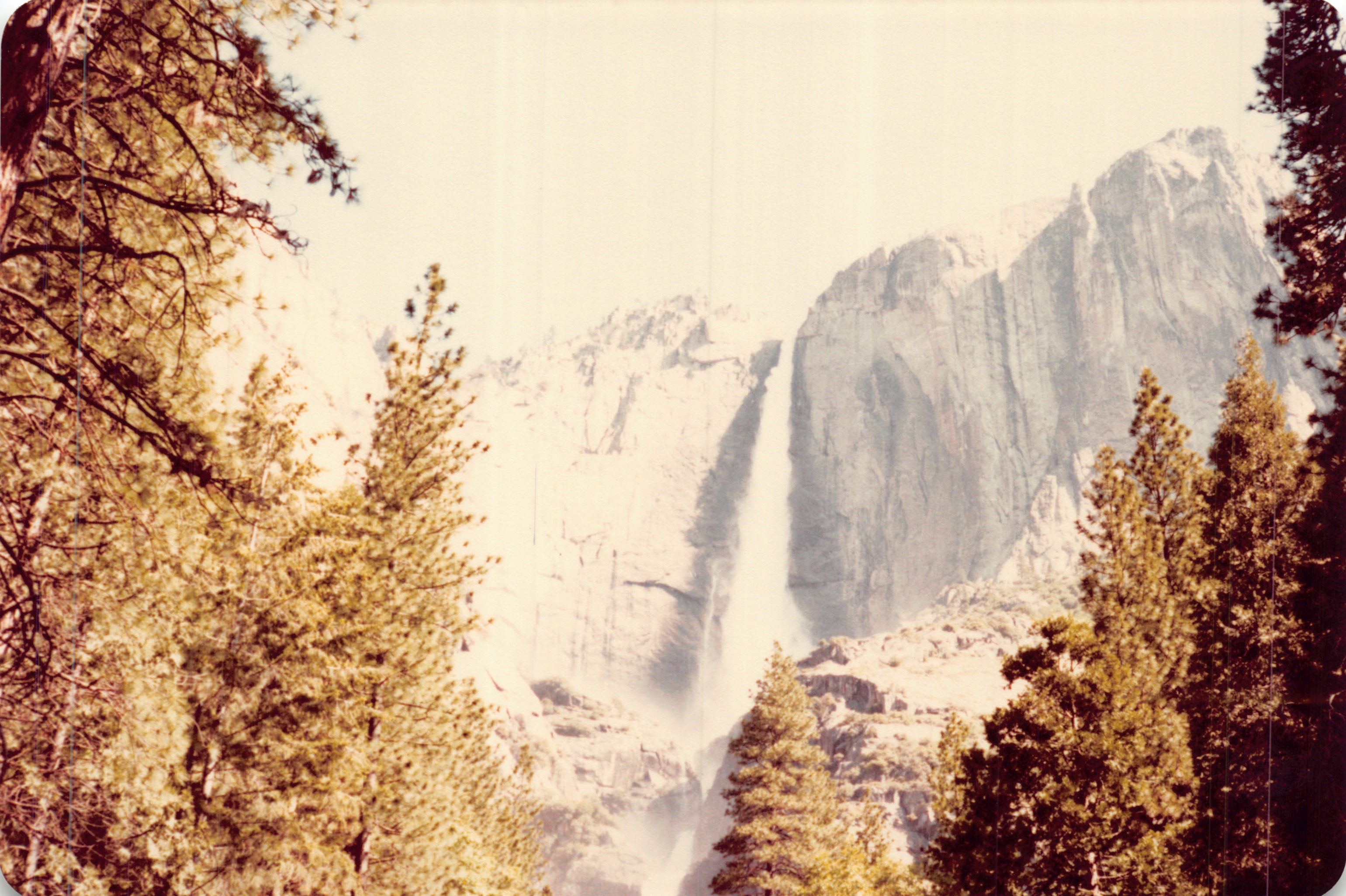 1982a_0675.jpg