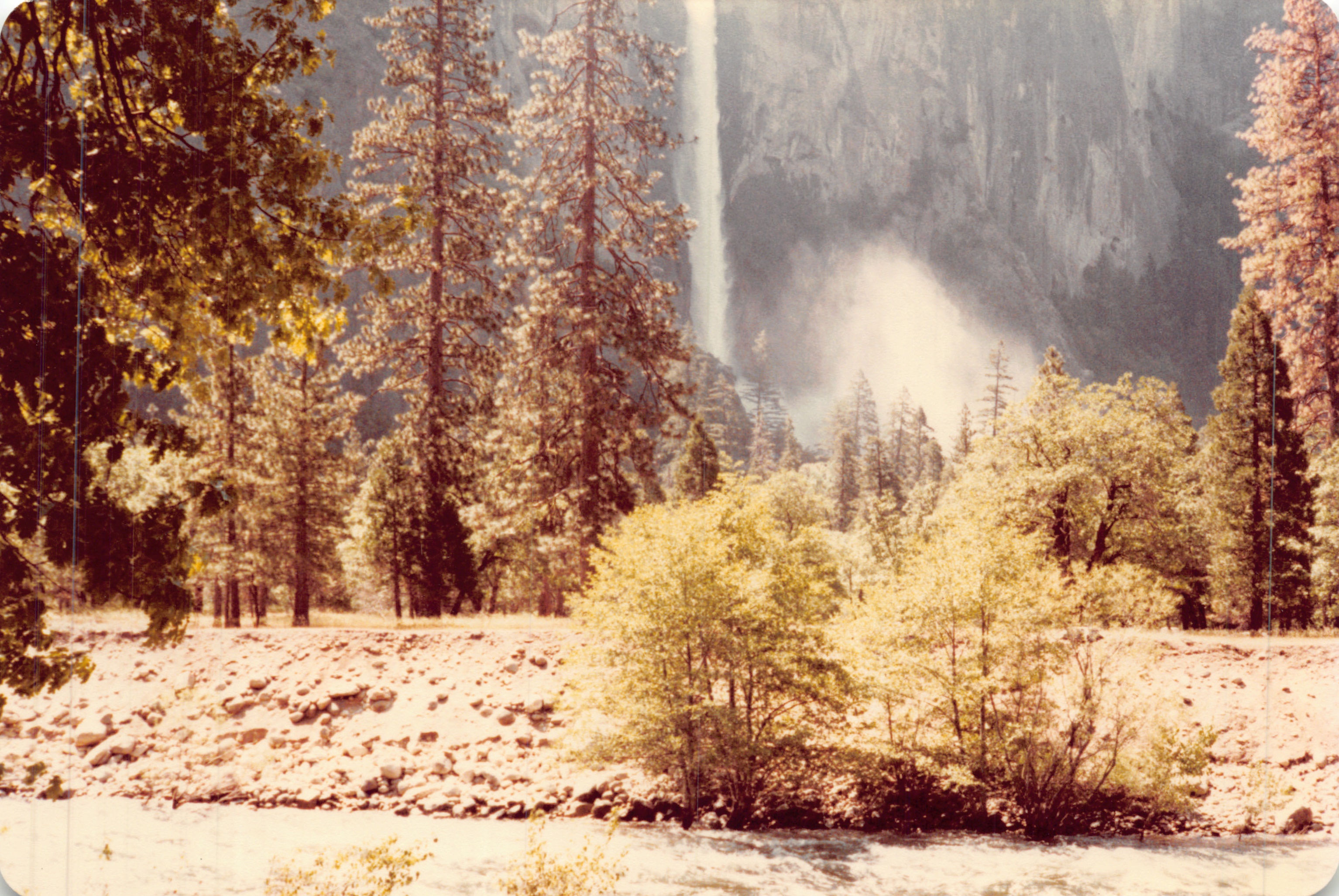 1982a_0677.jpg