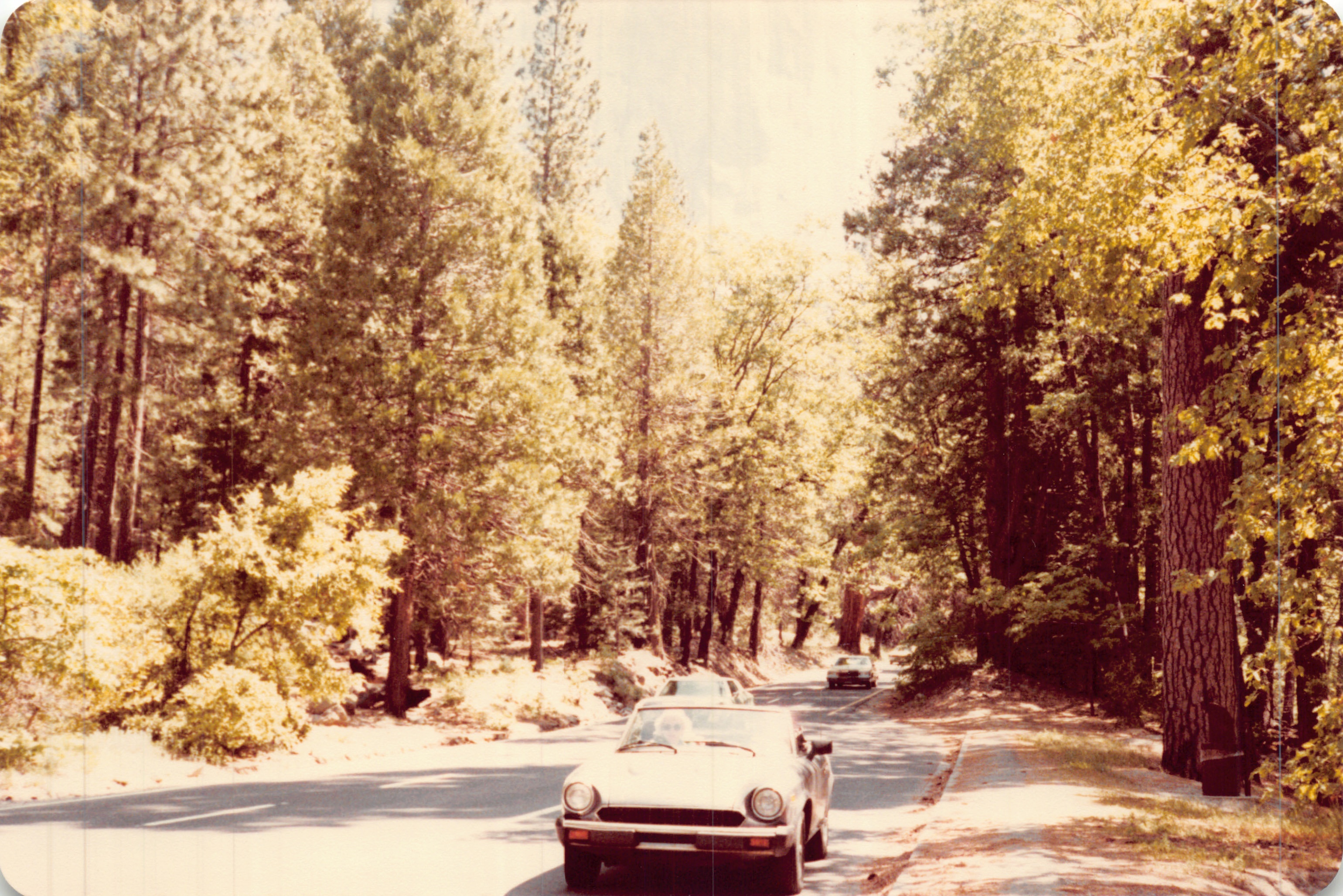 1982a_0680.jpg
