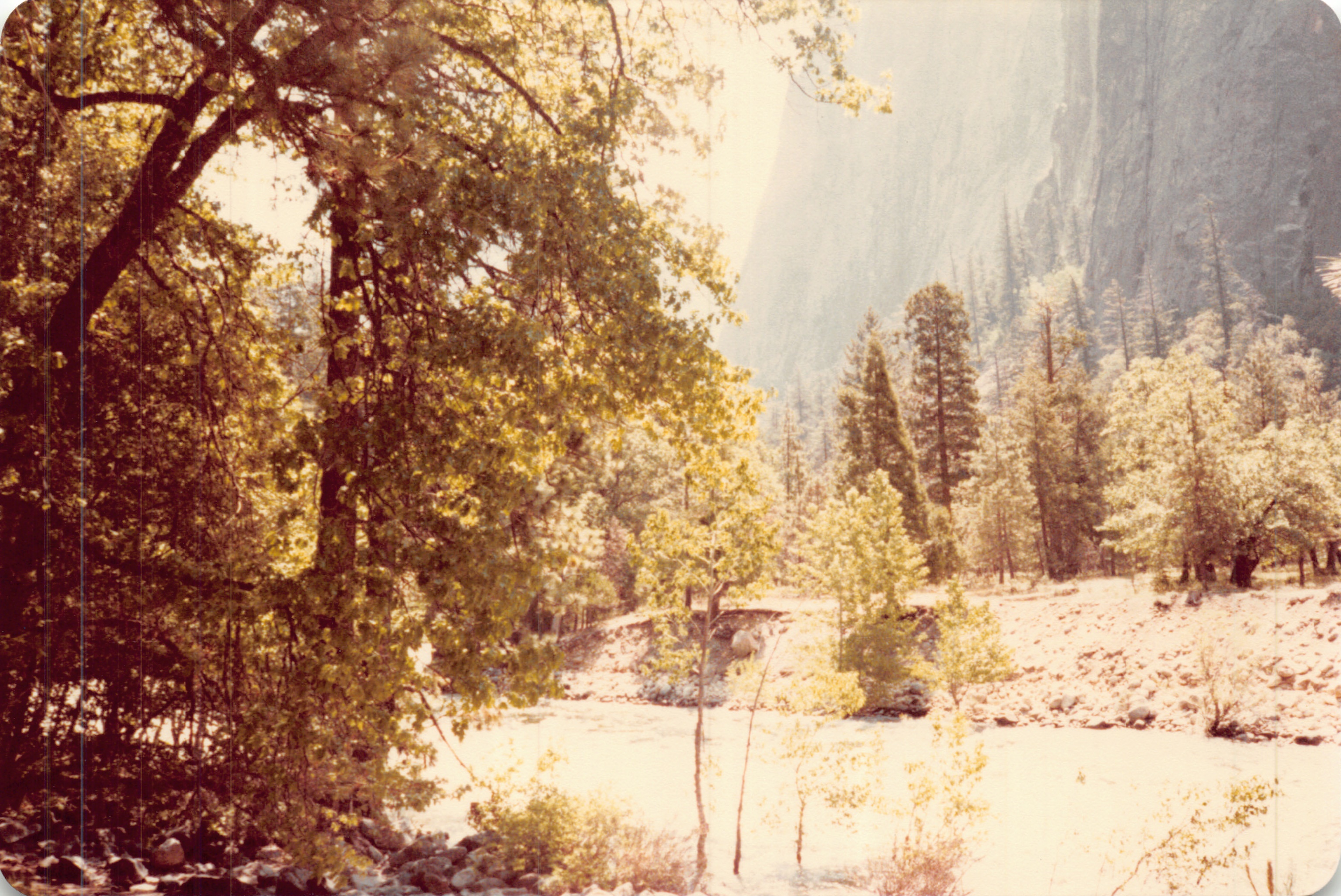1982a_0681.jpg