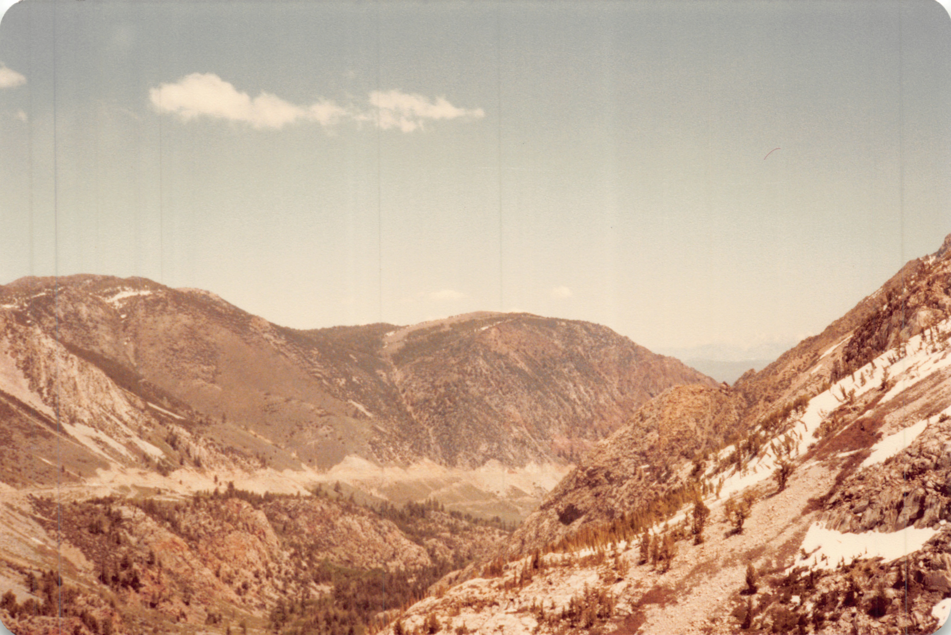 1982a_0682.jpg