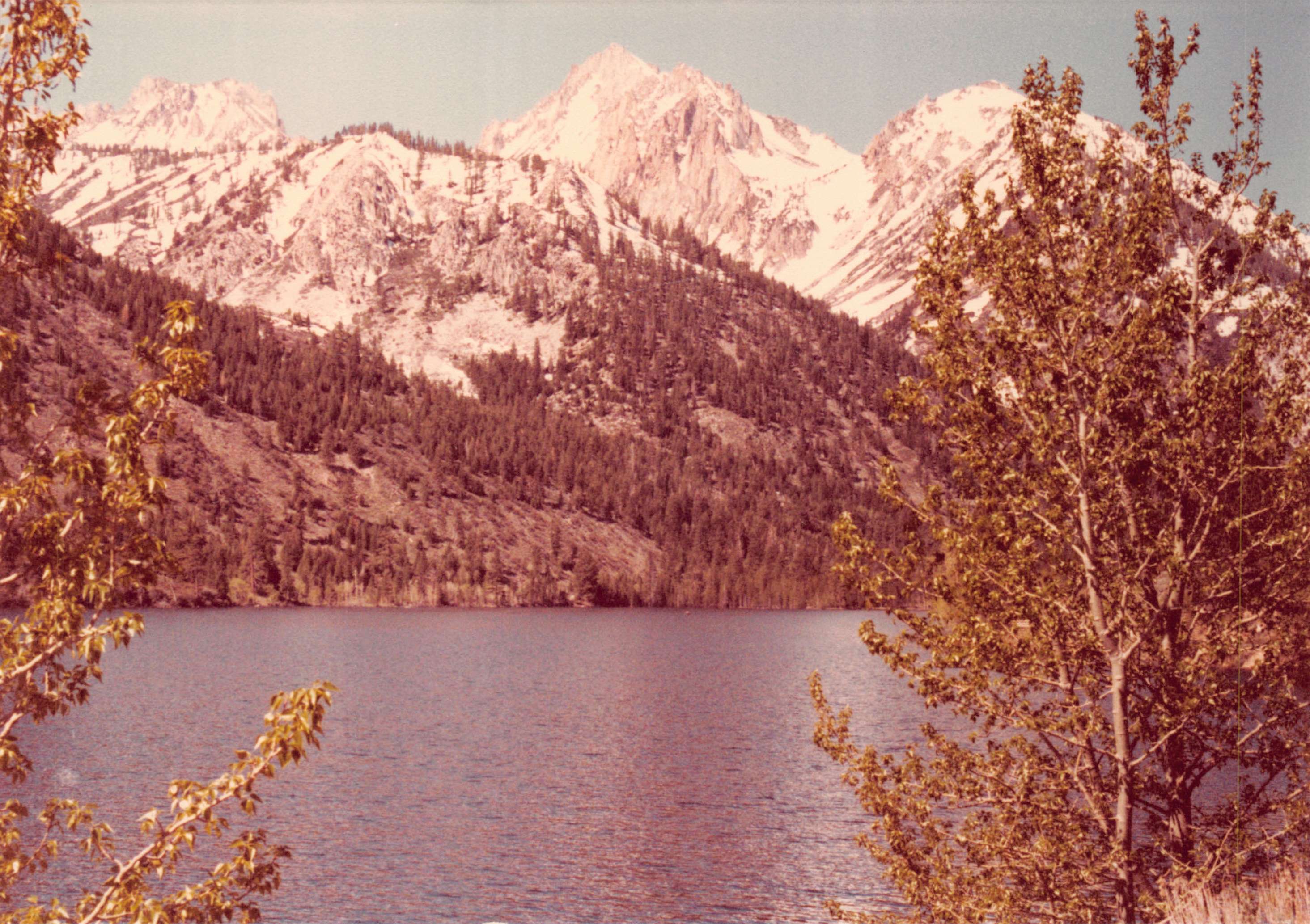 1982a_0682_211.jpg