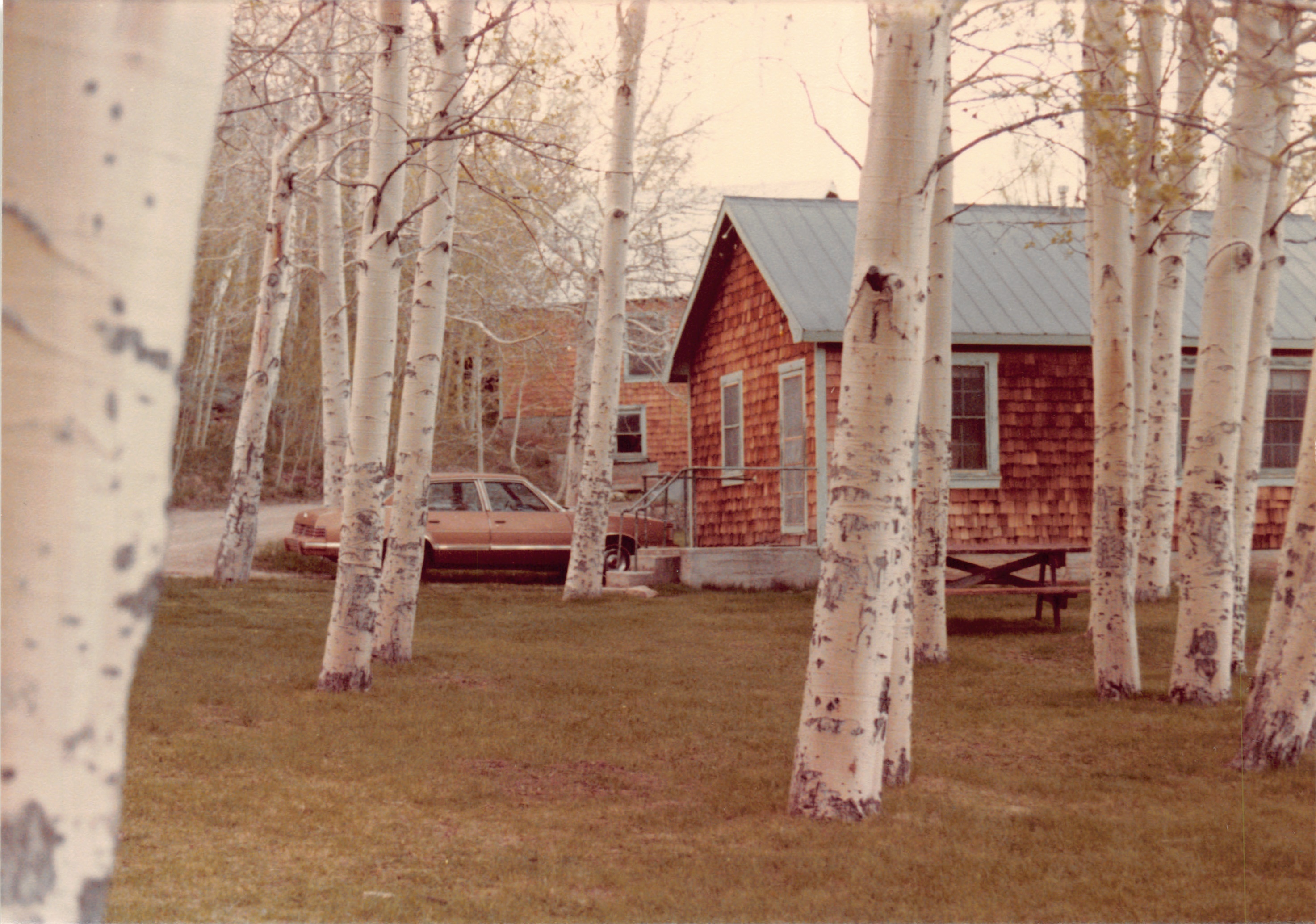 1982a_0682_213.jpg