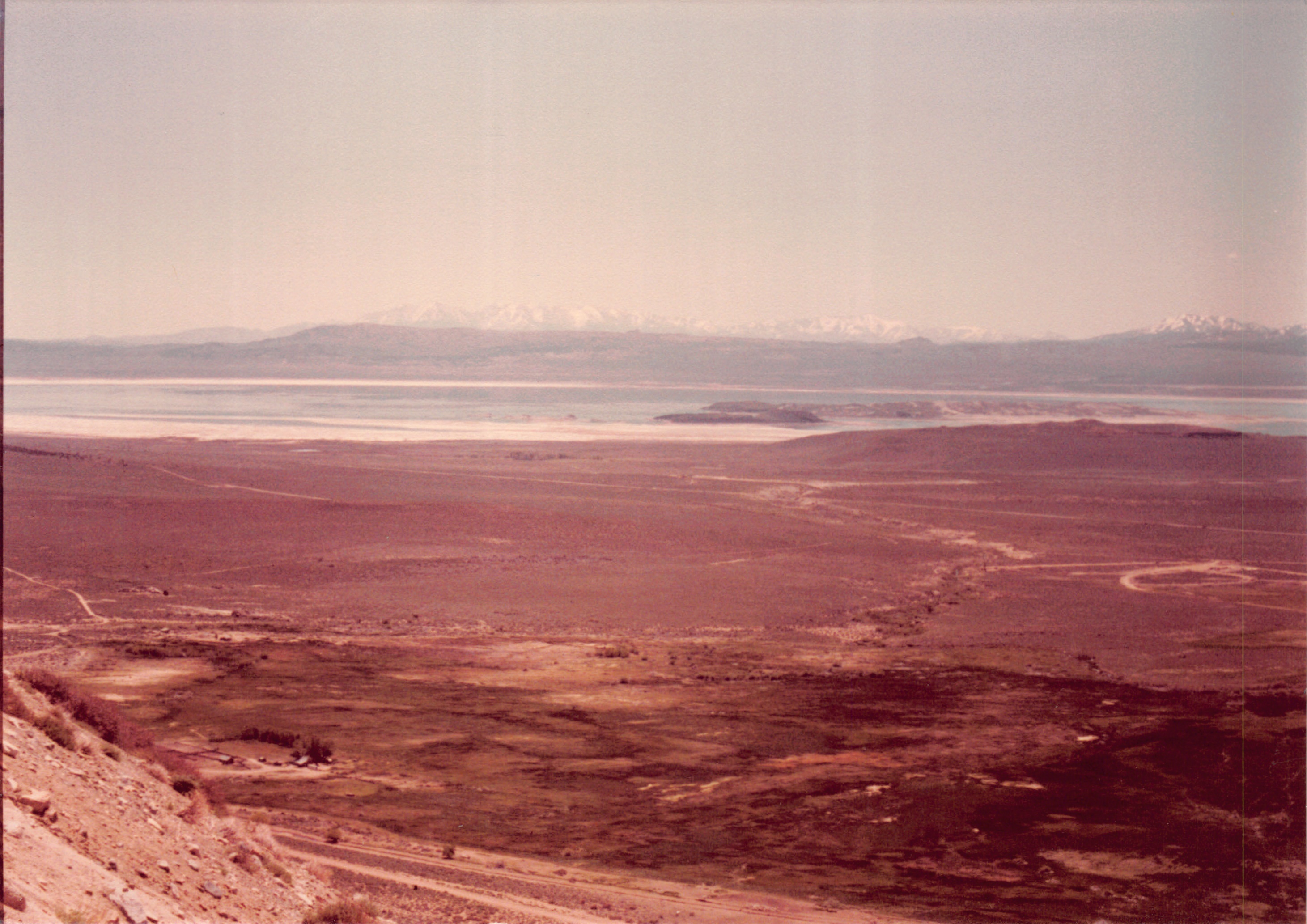 1982a_0682_216.jpg