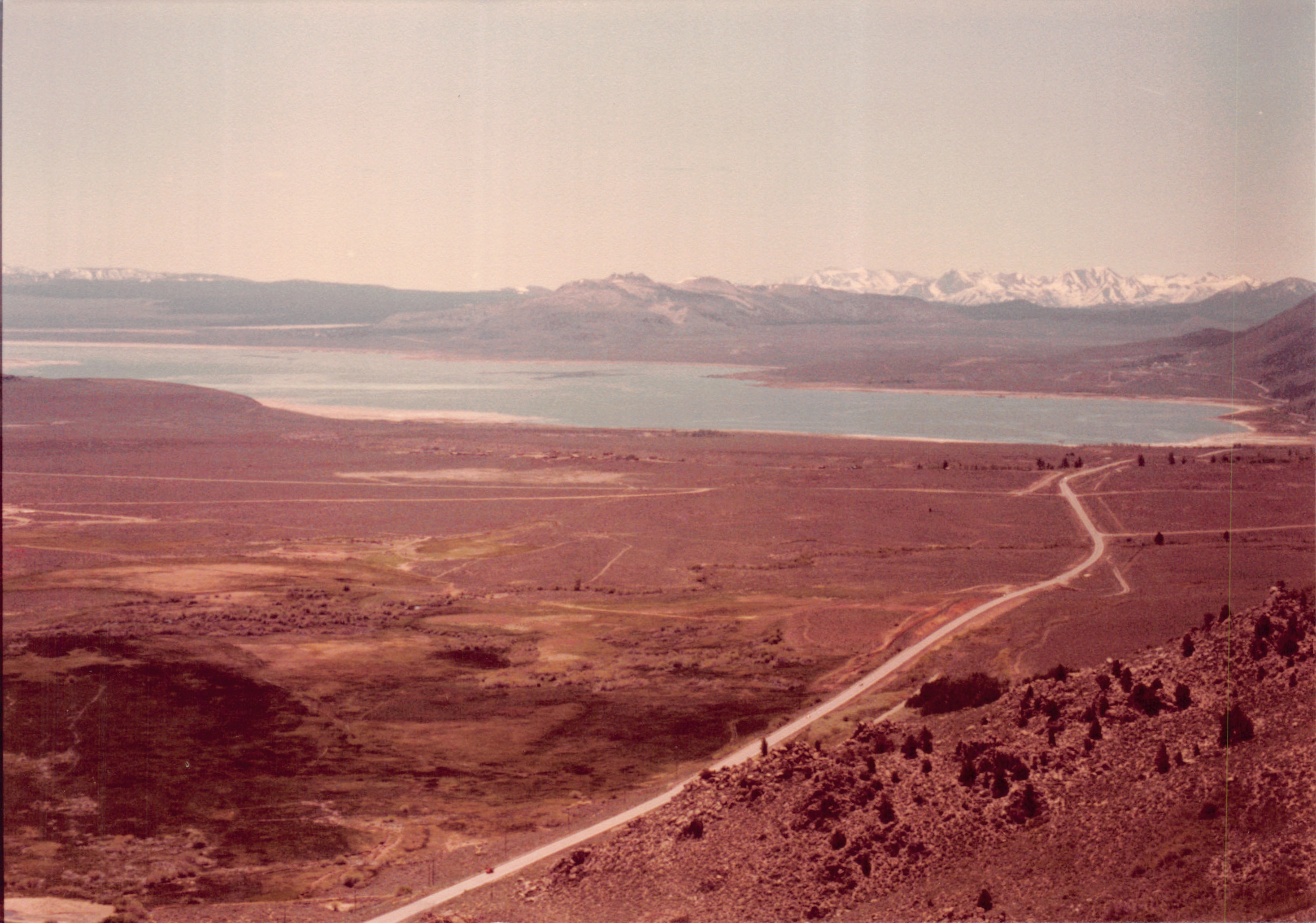 1982a_0682_218.jpg
