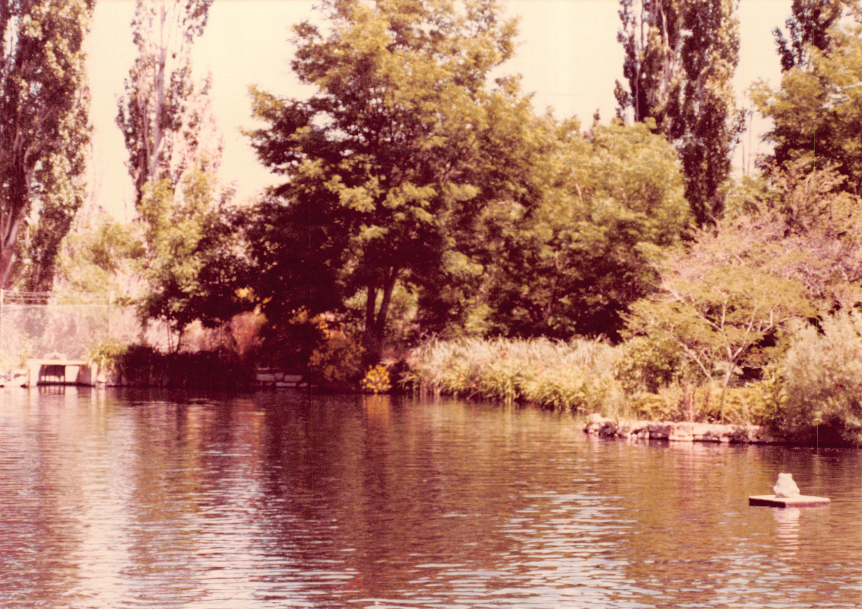 1982a_0682_221.jpg