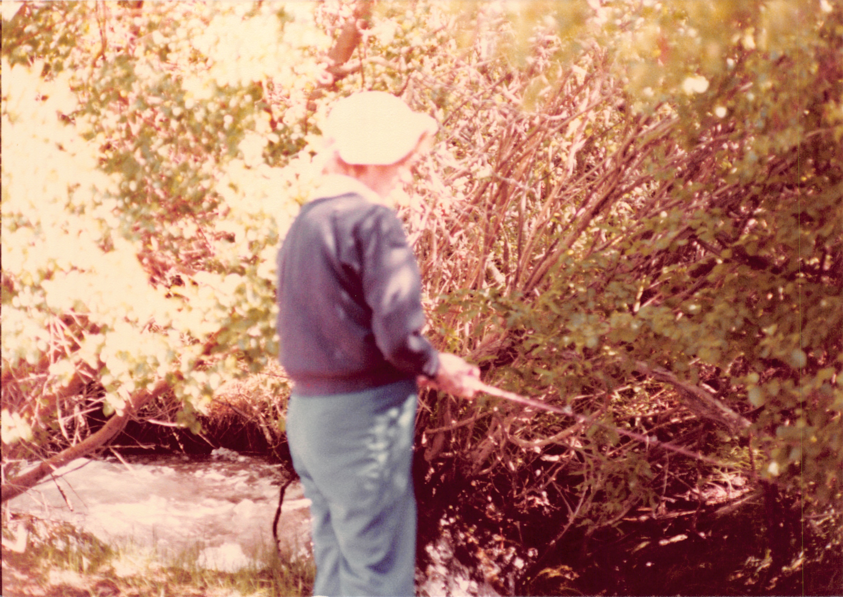 1982a_0682_223.jpg