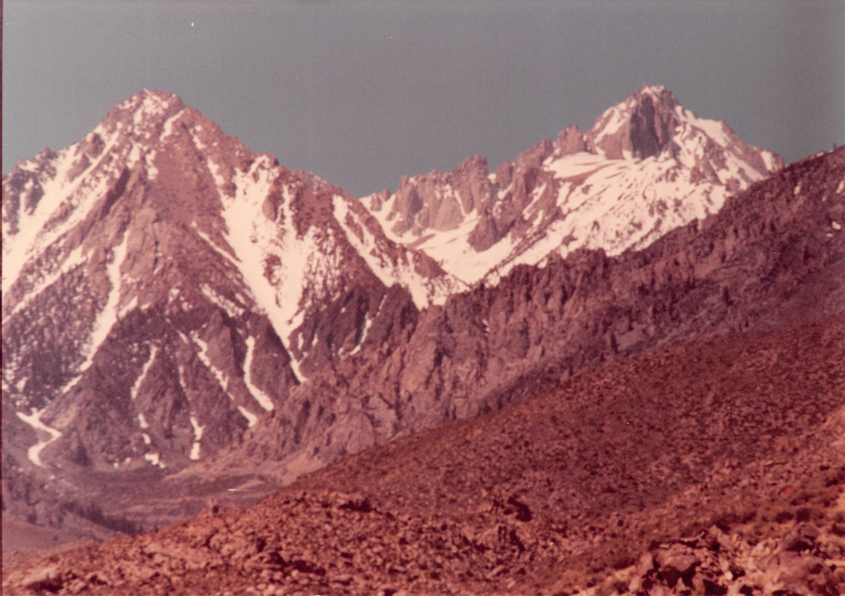 1982a_0682_231.jpg