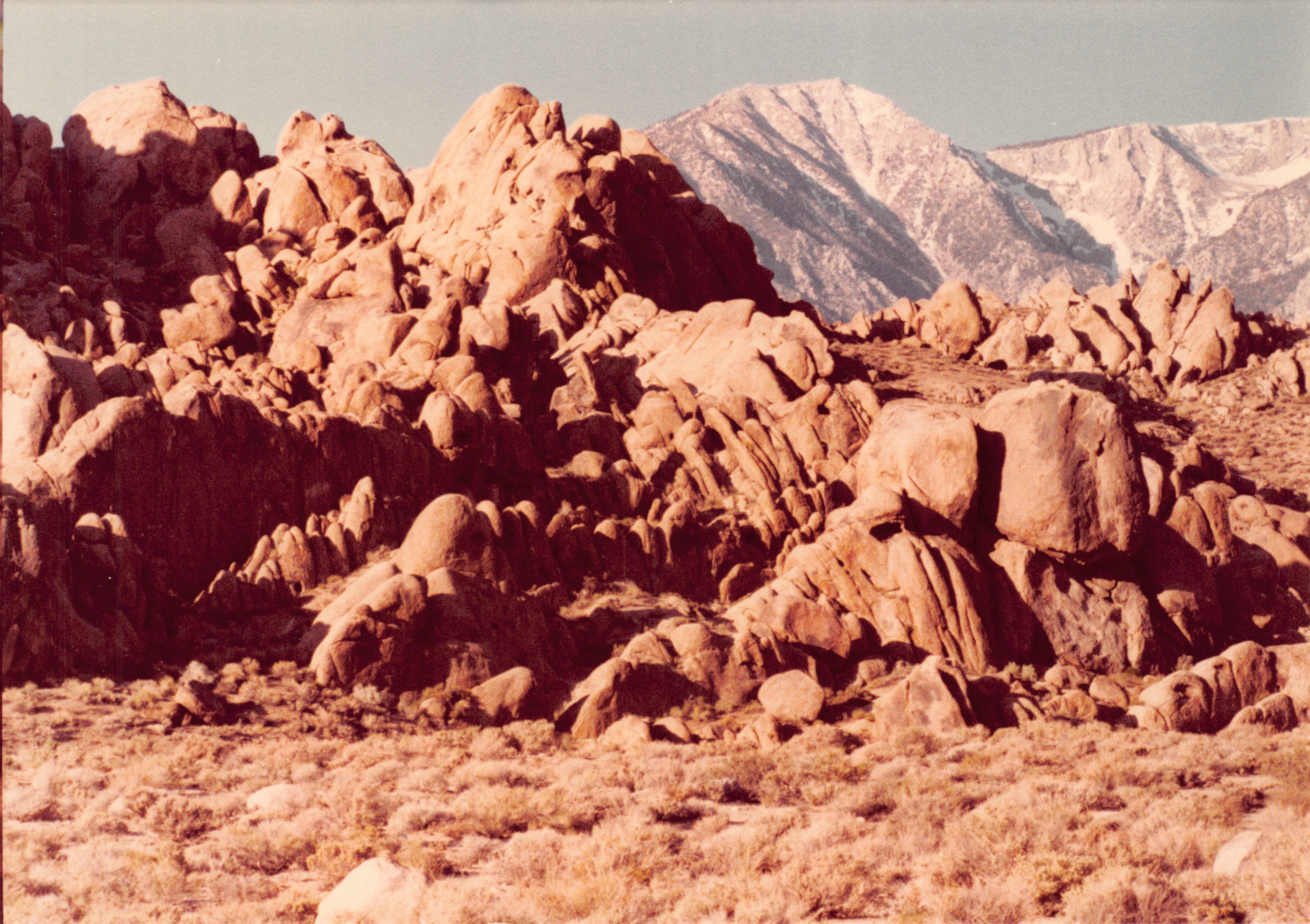 1982a_0682_235.jpg