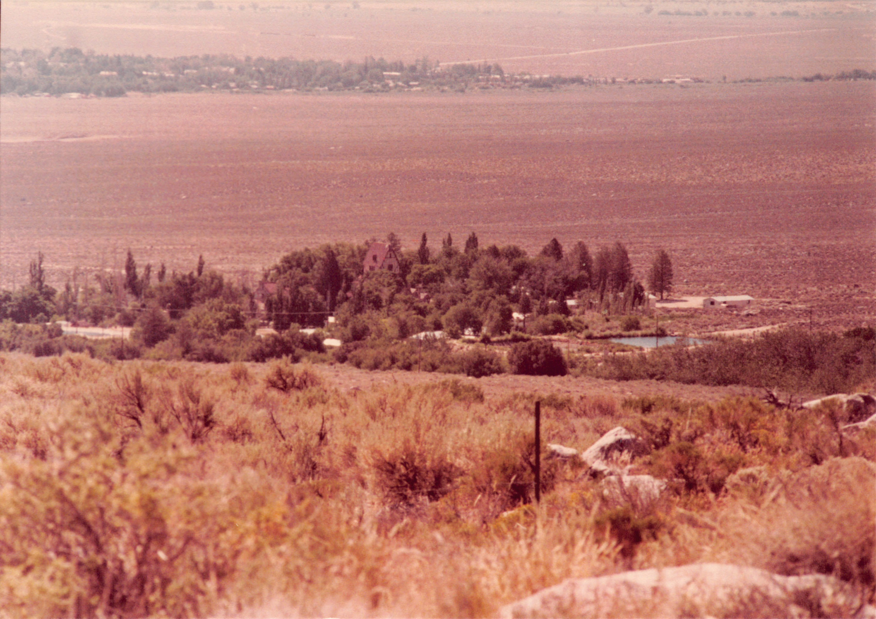 1982a_0682_241.jpg