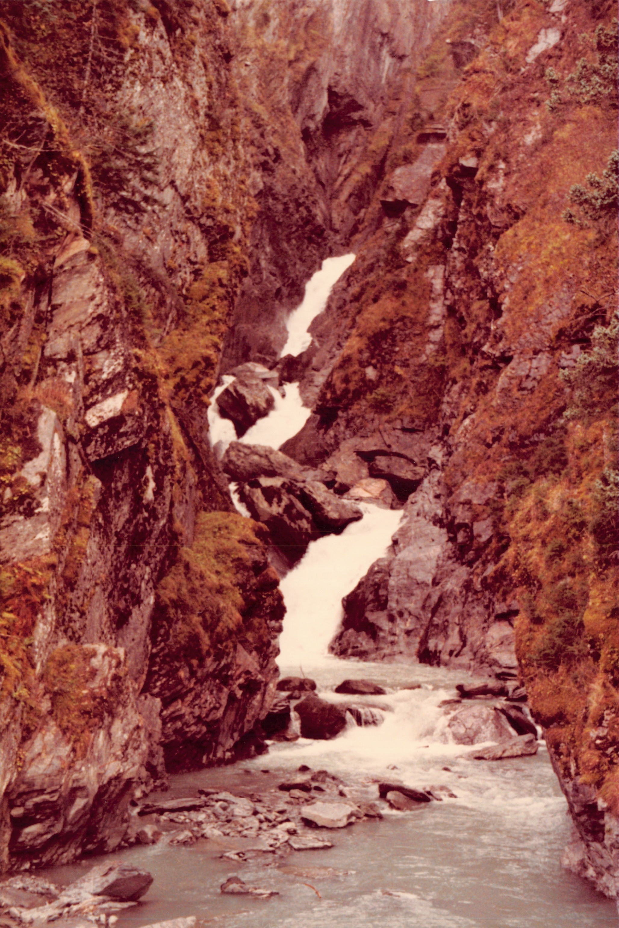 1982a_0682_250.jpg