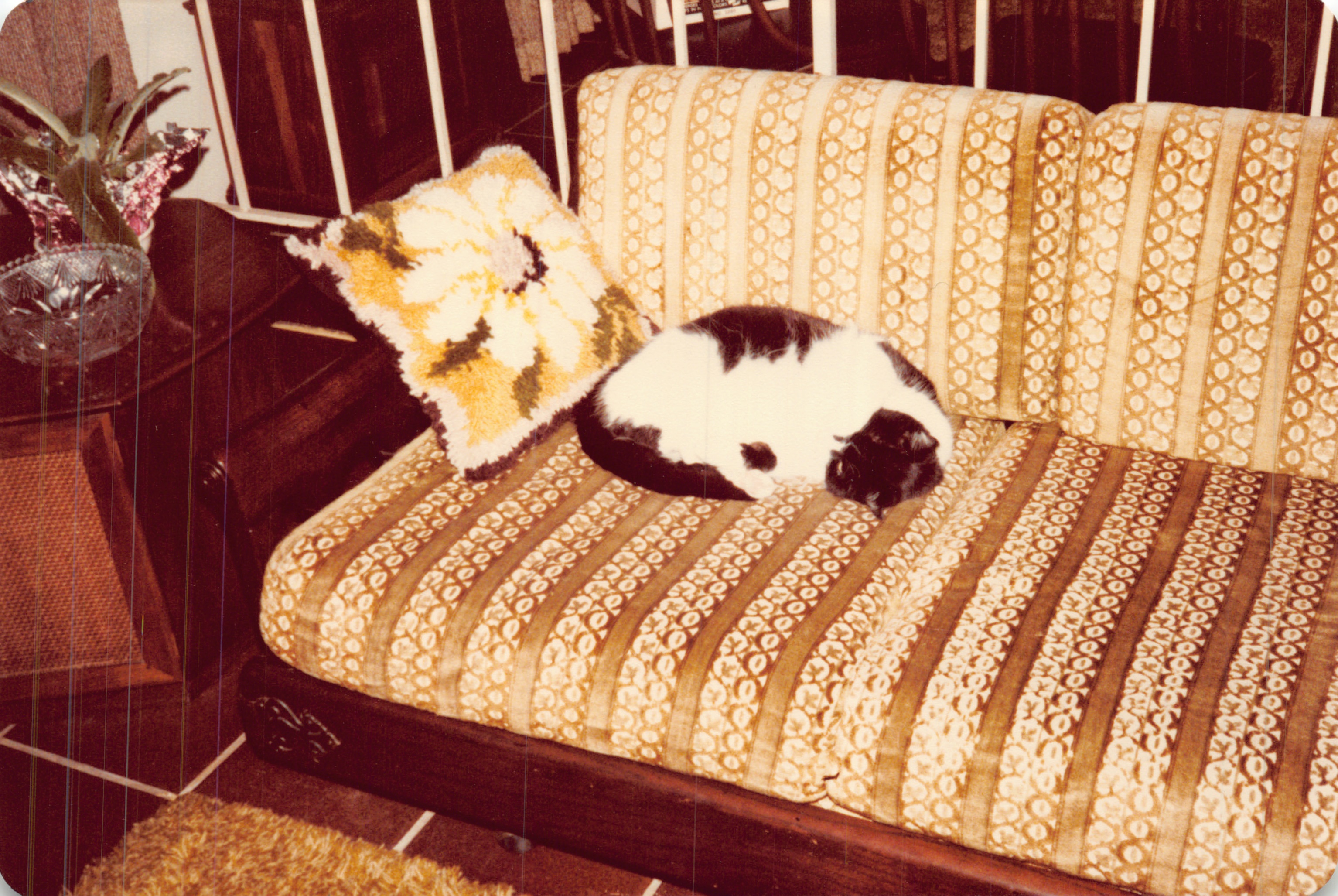 1982a_0710.jpg
