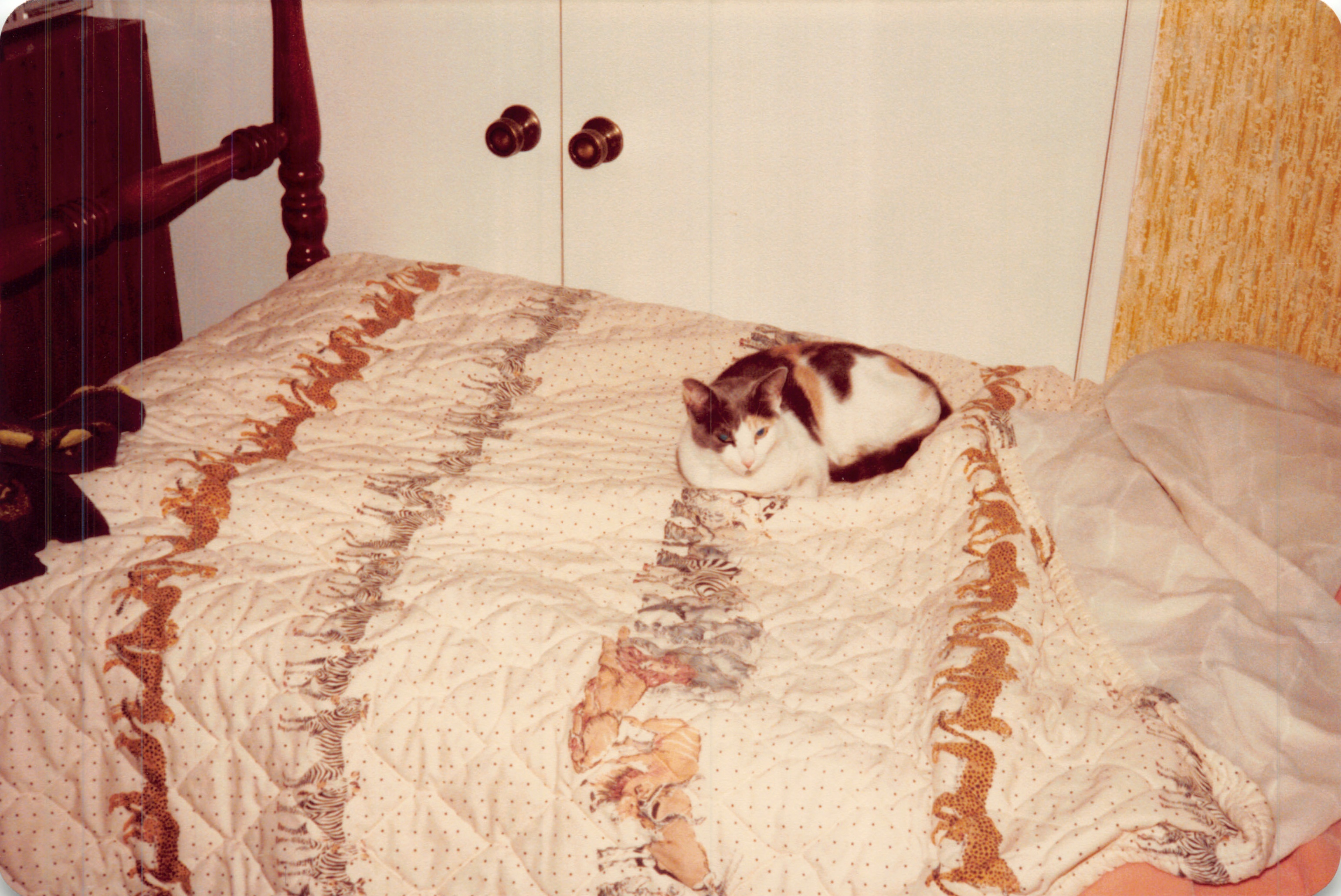 1982a_0711.jpg