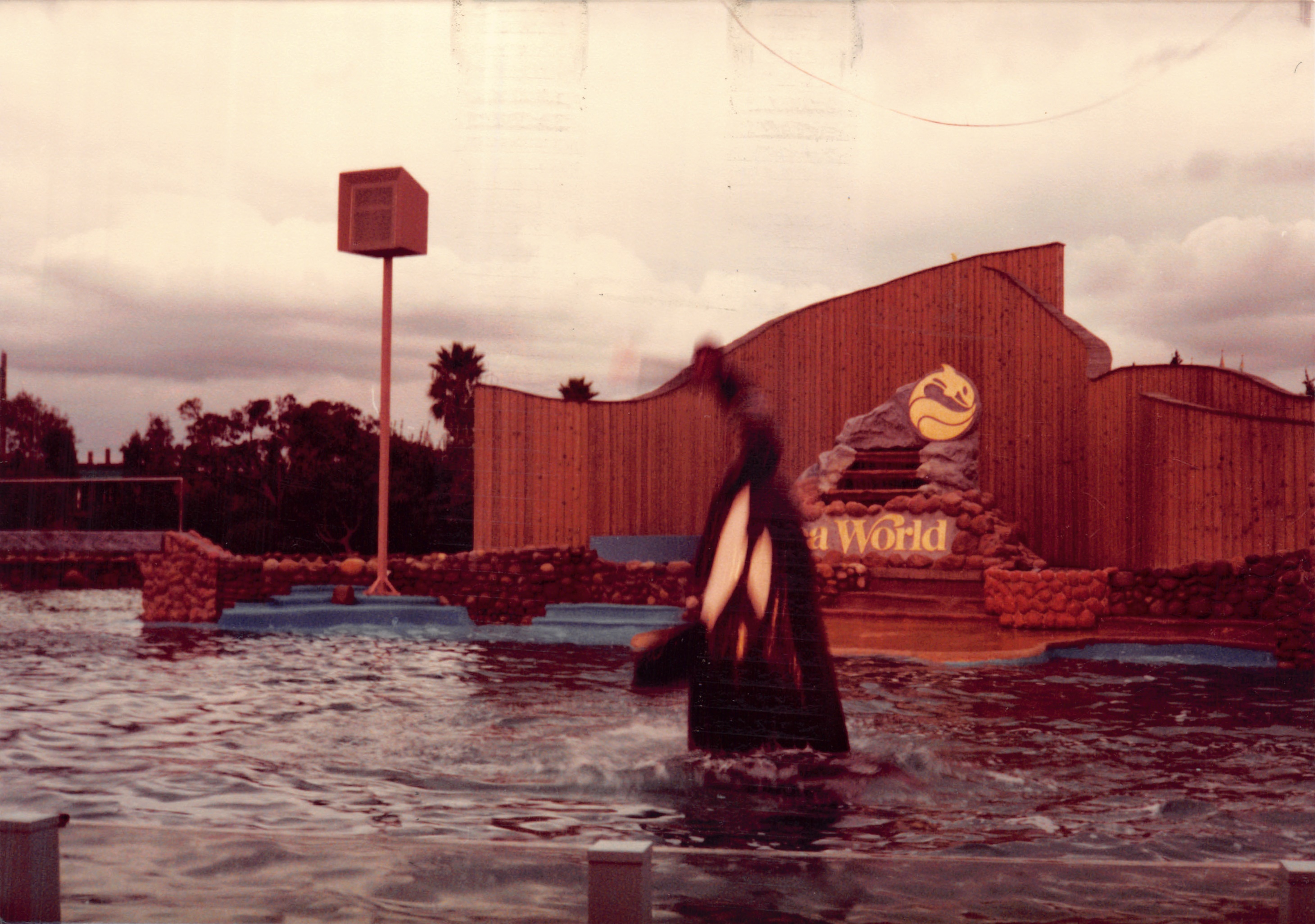 1982b_001.jpg