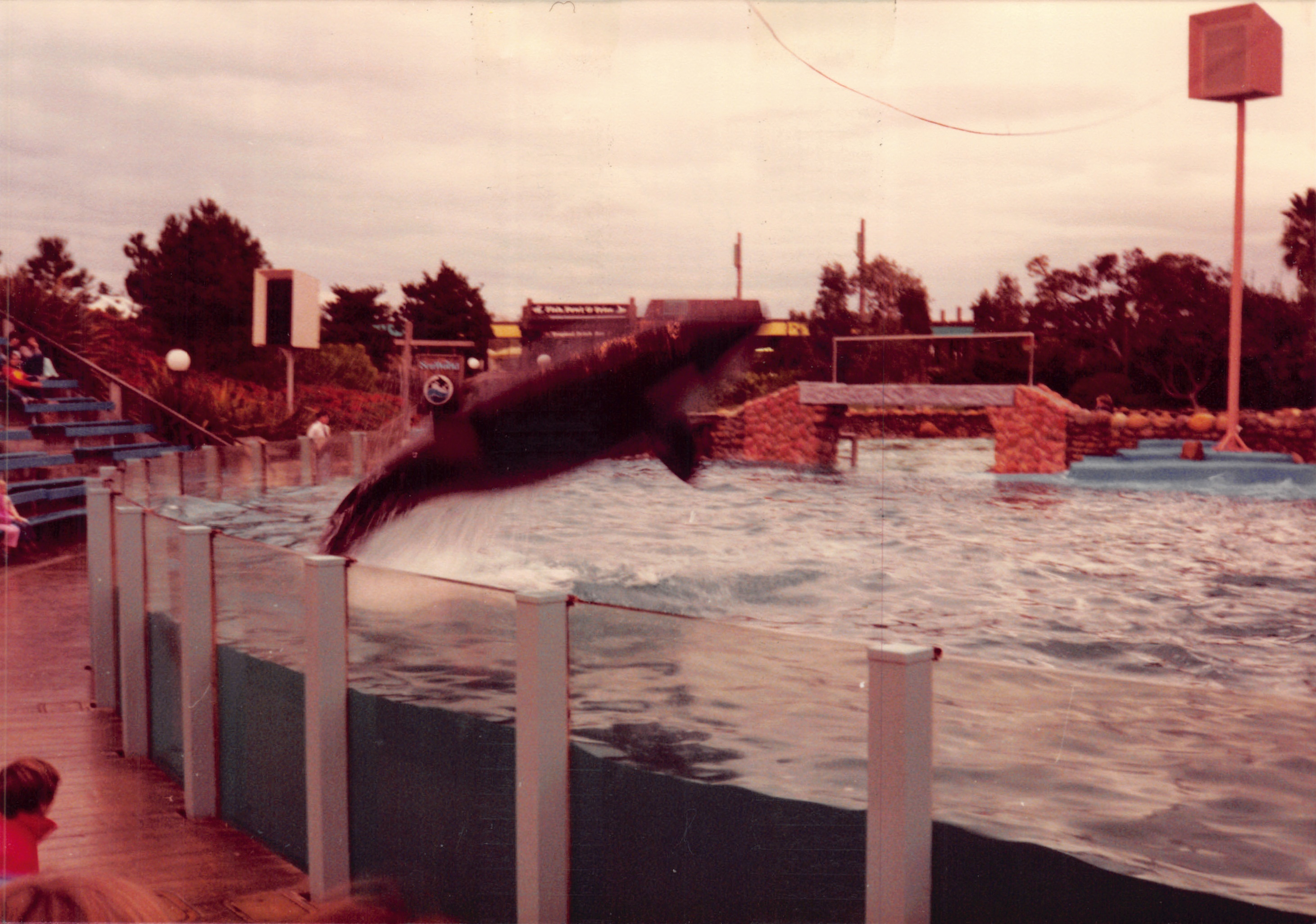 1982b_003.jpg