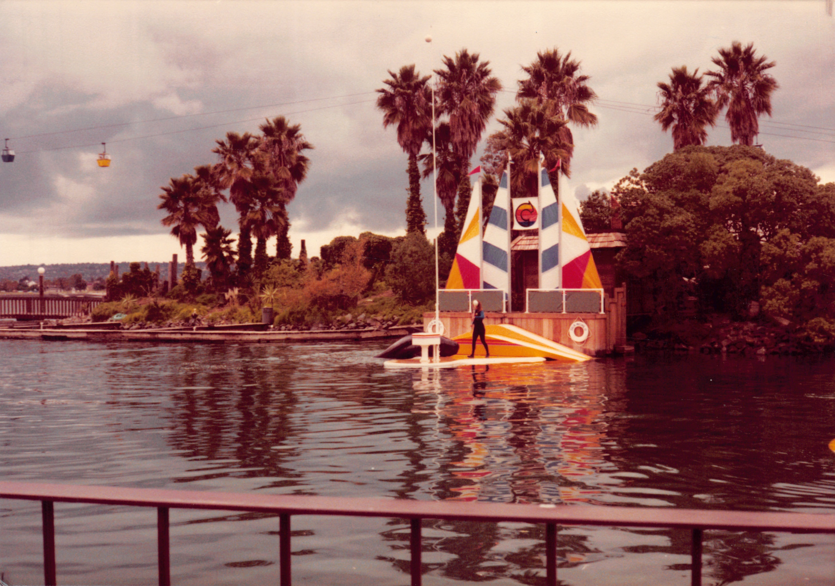 1982b_011.jpg