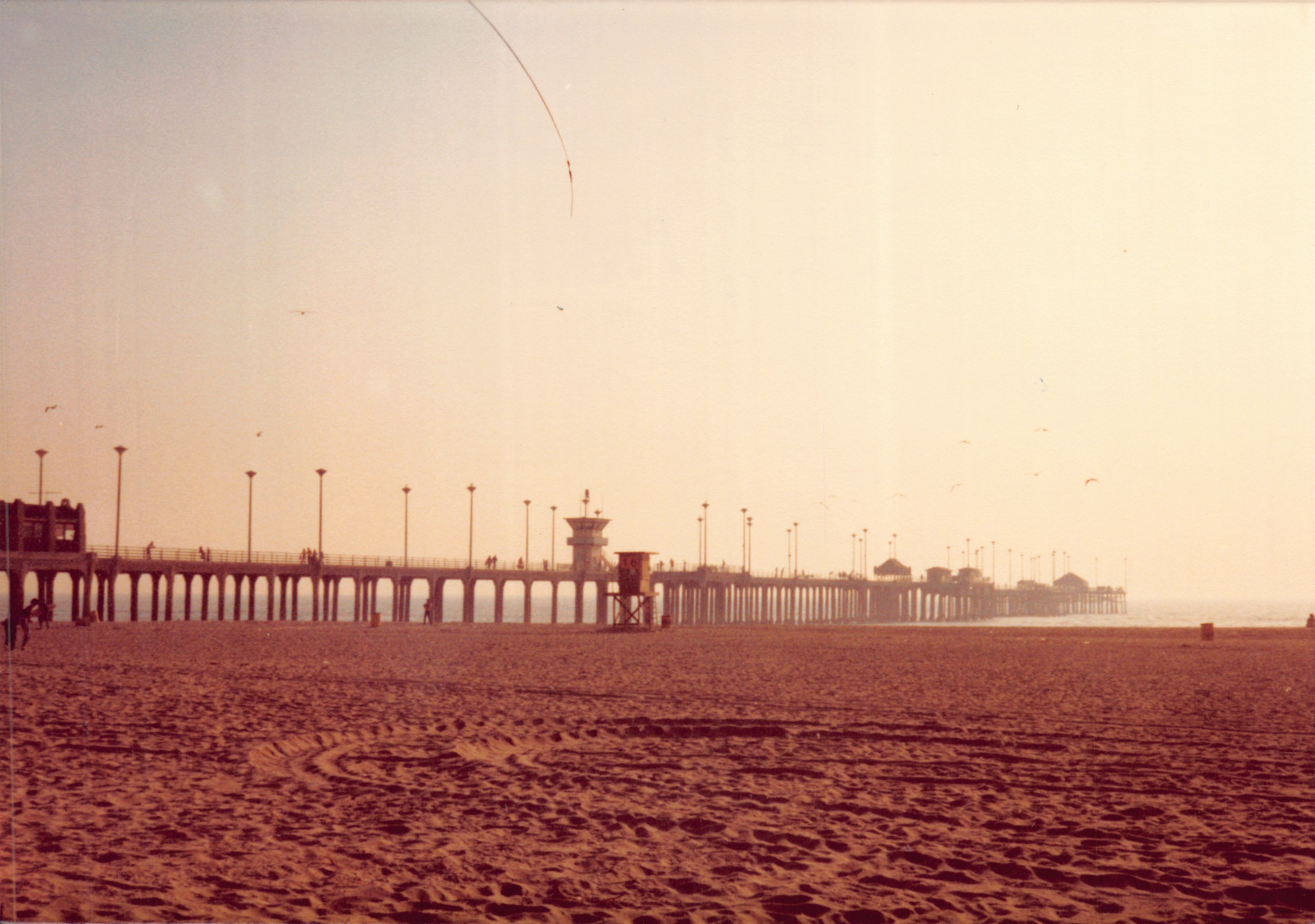 1982b_017.jpg