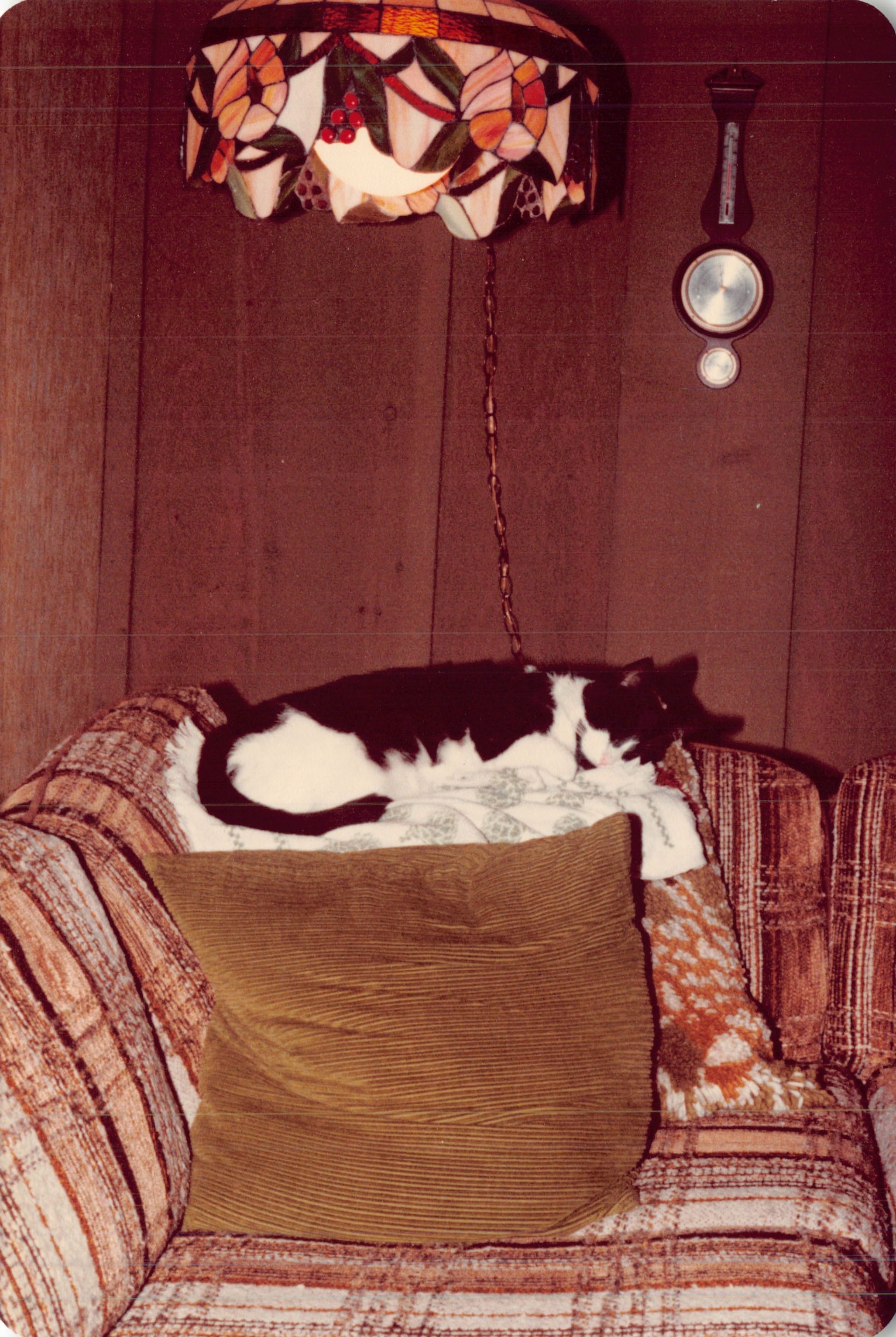 1982c_0864.jpg