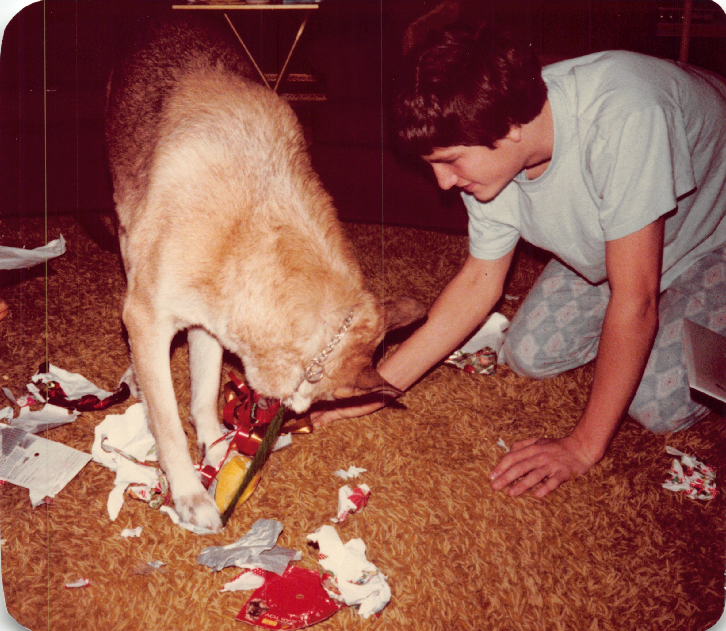 1982c_0878.jpg